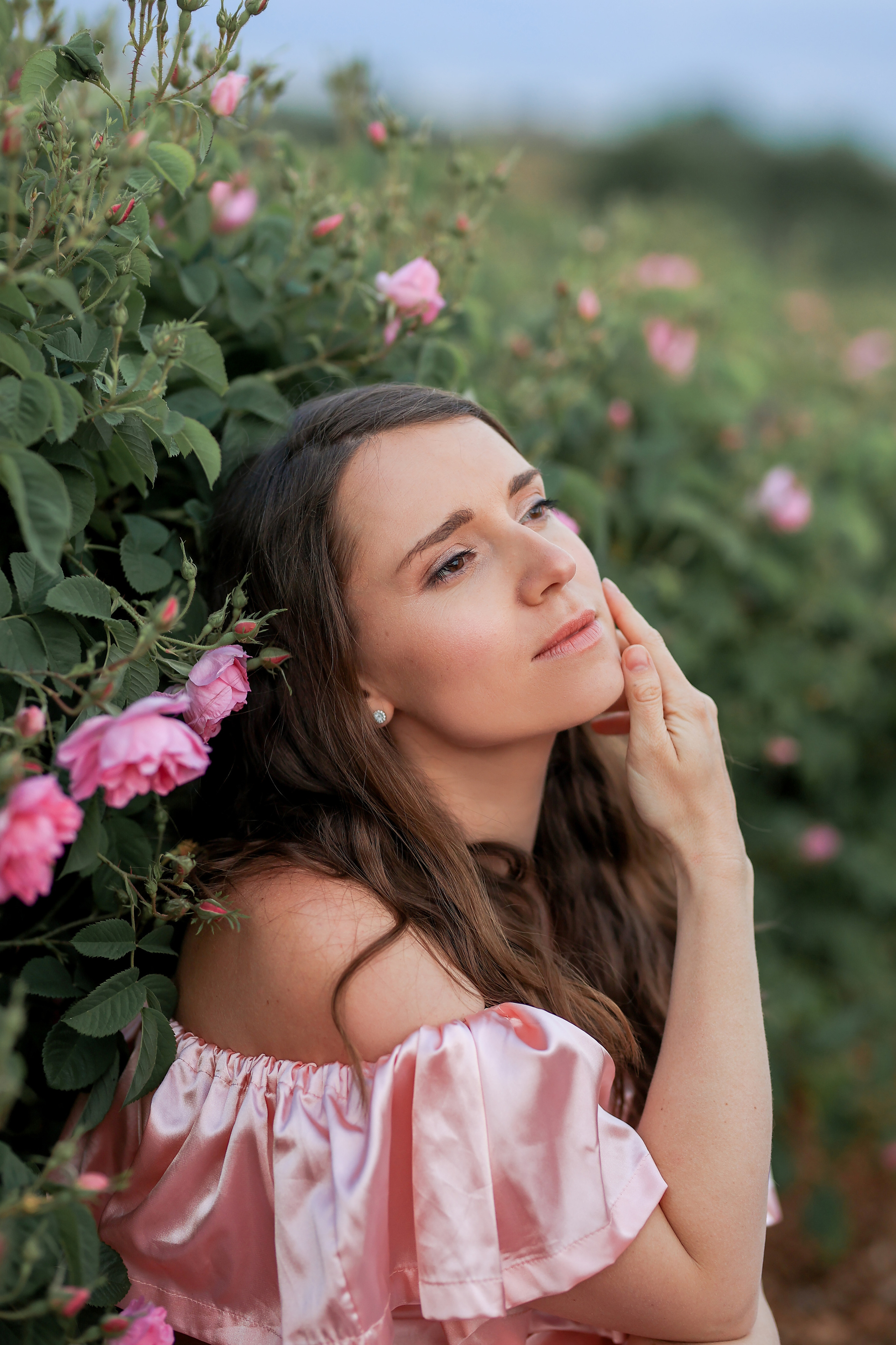 Fields of roses, irises and white poppies