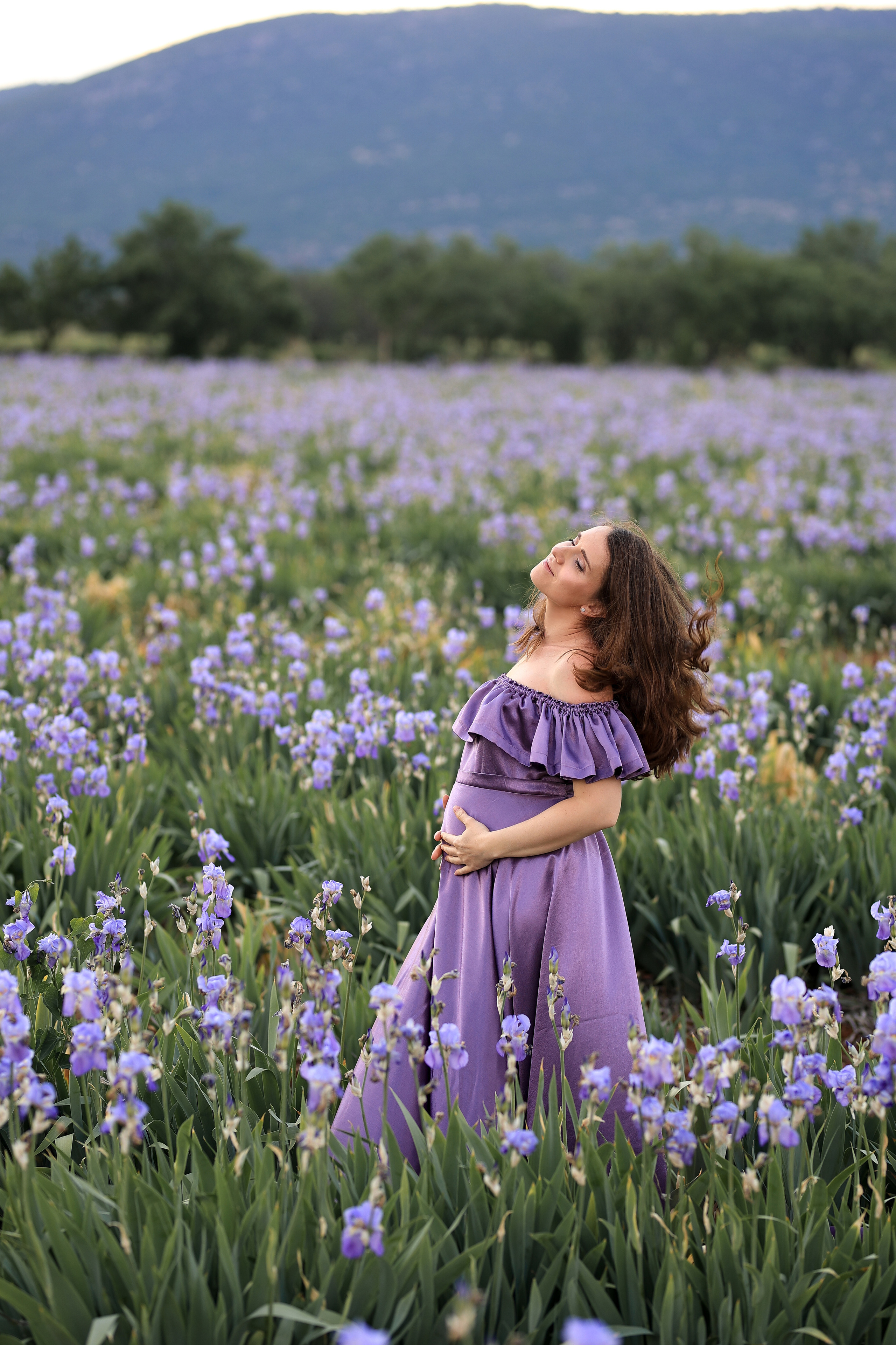 Fields of roses, irises and white poppies