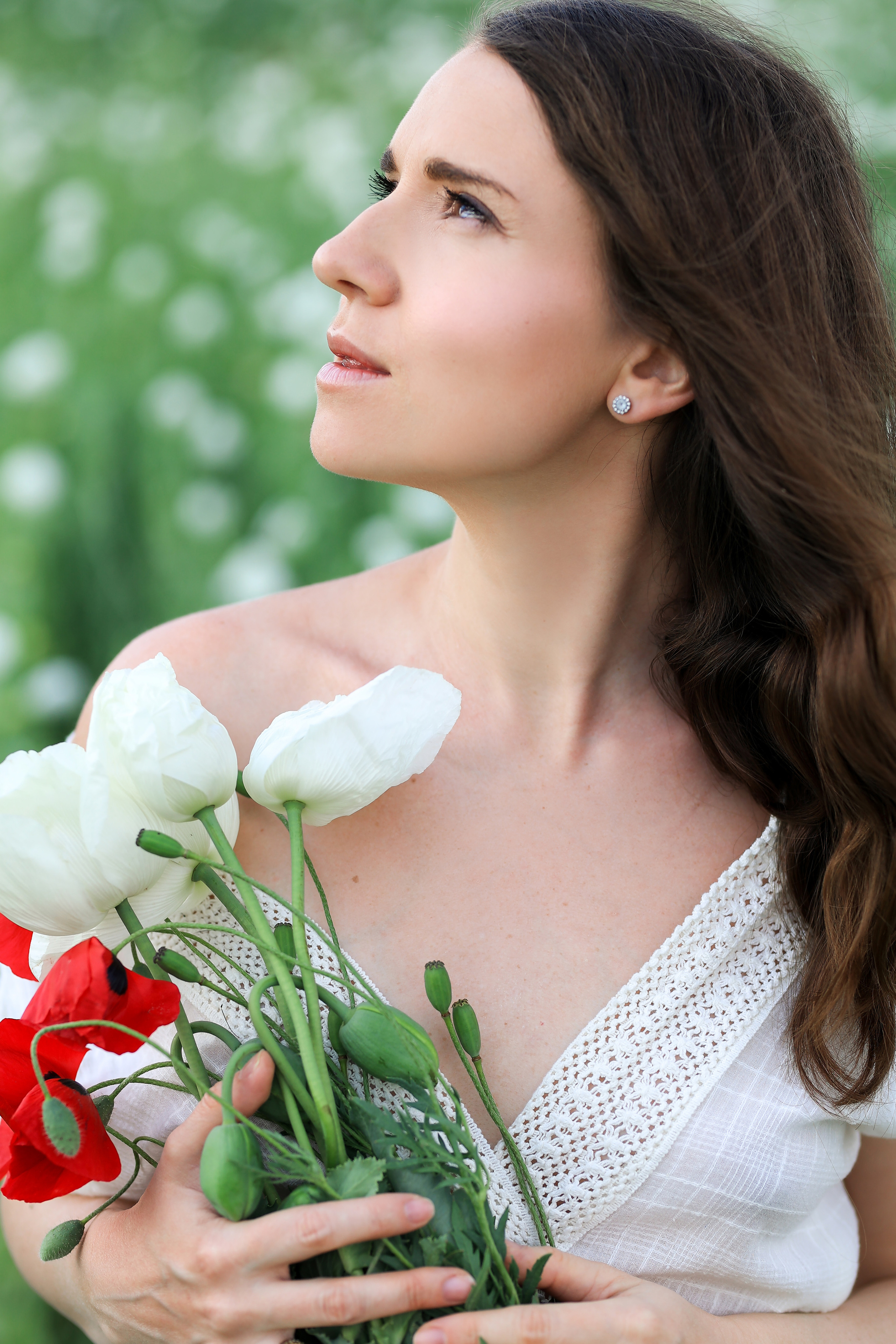 Fields of roses, irises and white poppies