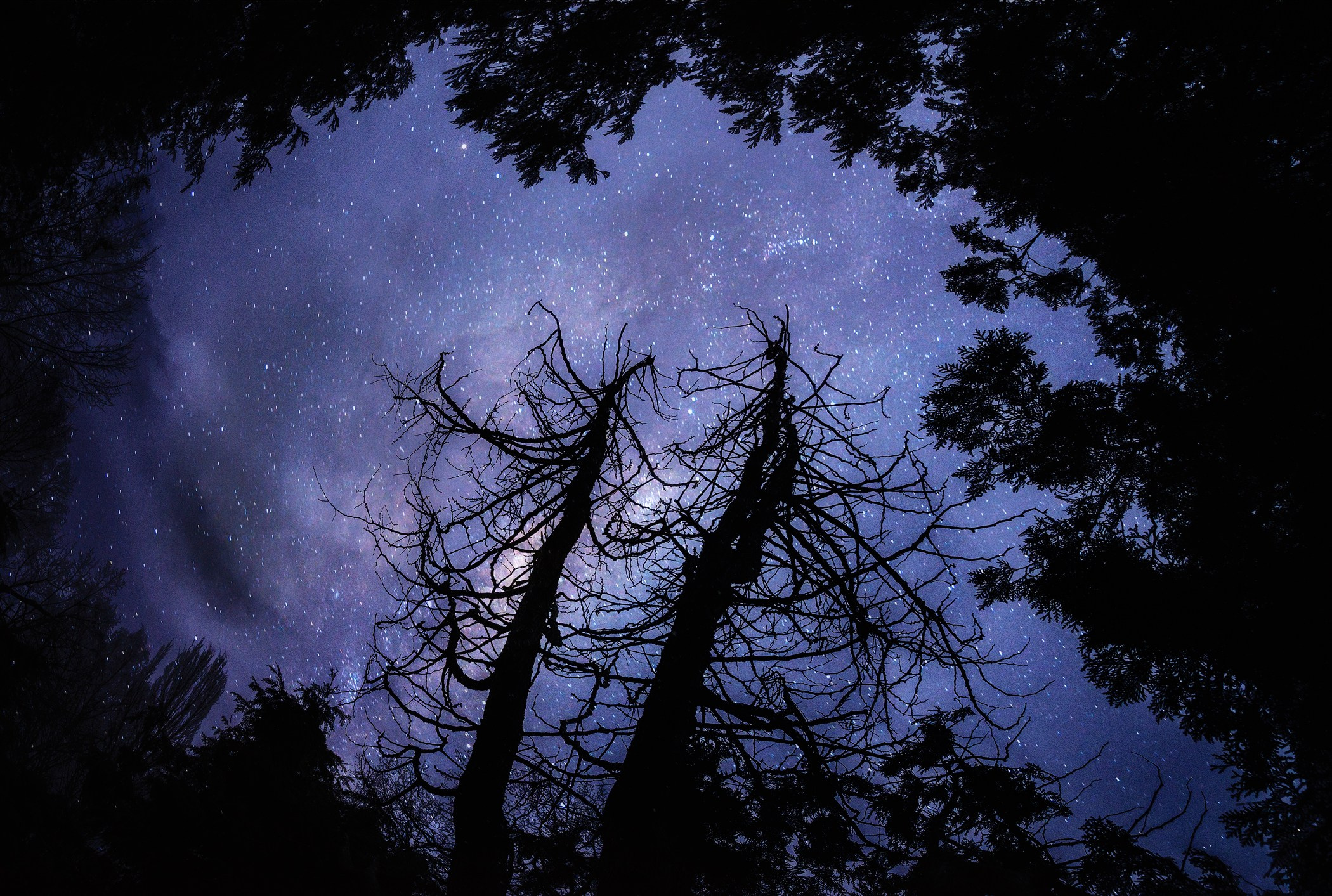 Volkovart.ru nighttime landscapes astrophotography. Volkovart.online nature photography