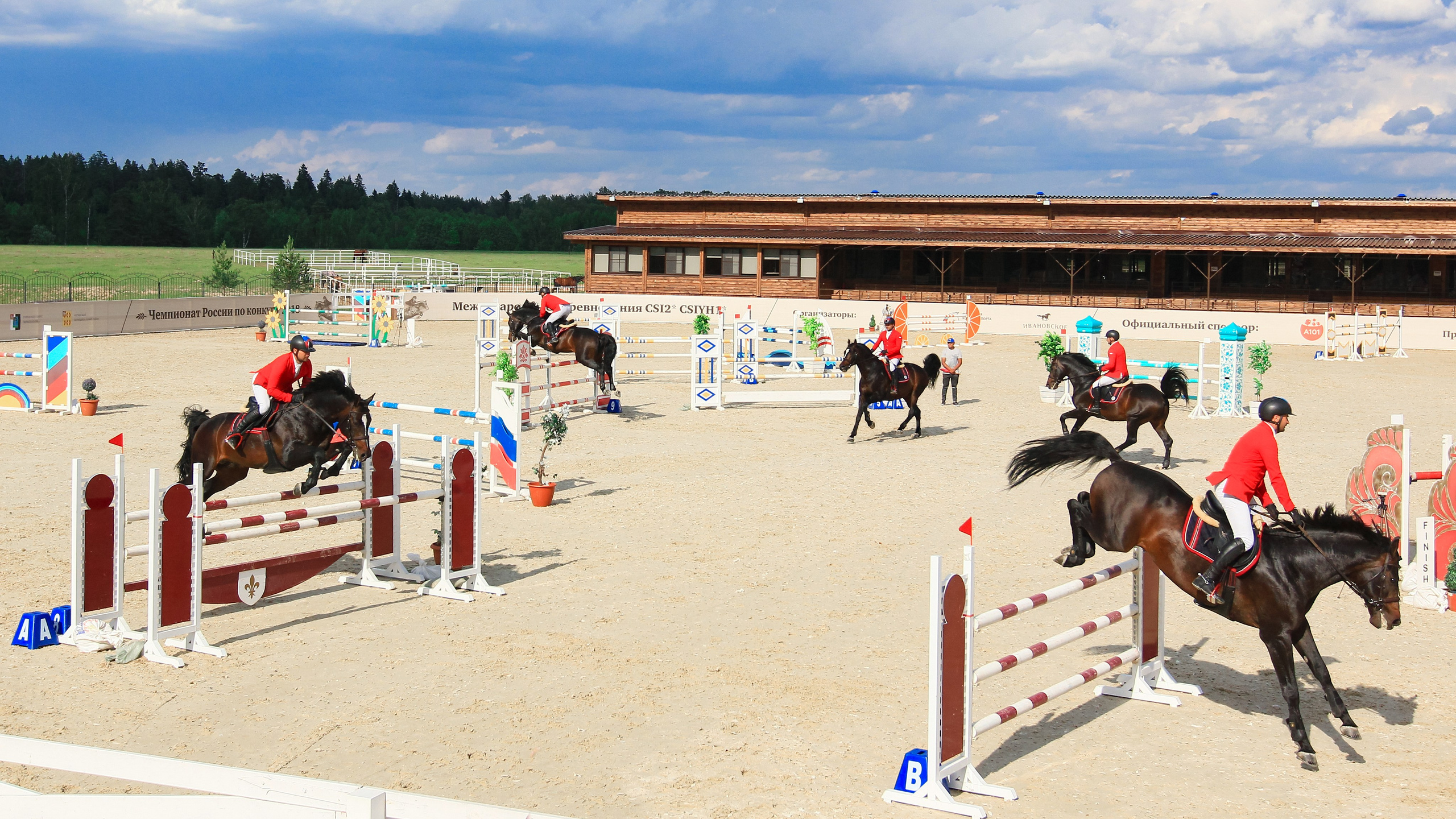 Спорт. KatymartArt — Equine photography