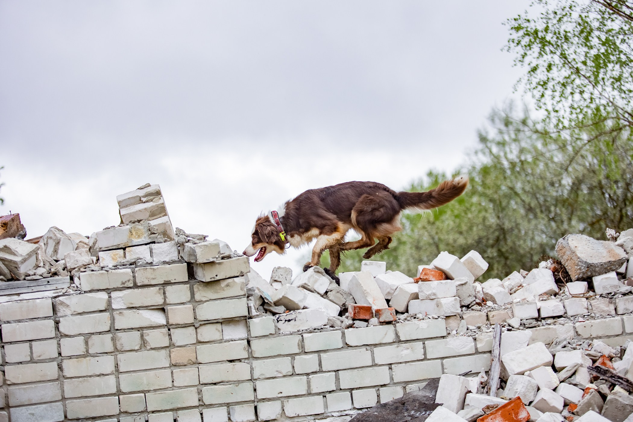ПСС Соревнования в Нижегородской области г. Чкаловск 2023-04-28. Фотограф Ирина Астор