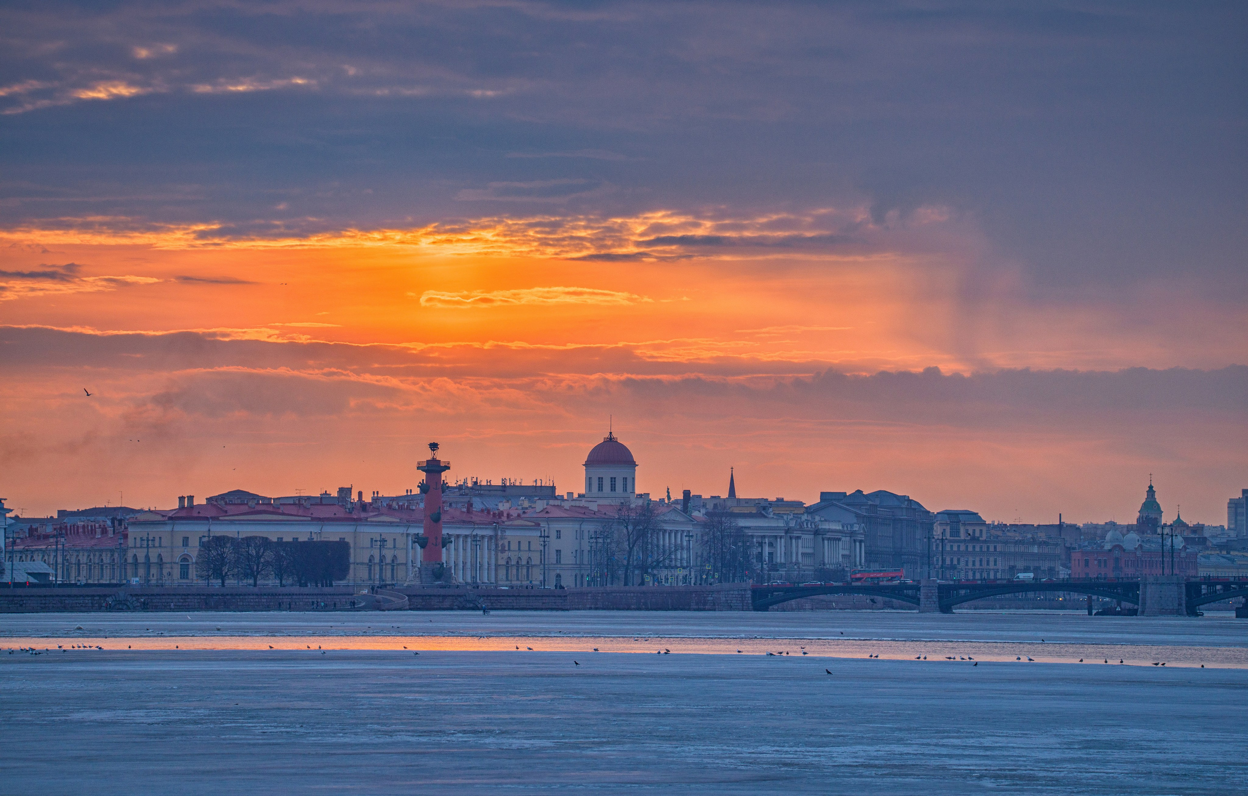 Макс По — фото и видео съемки любого формата