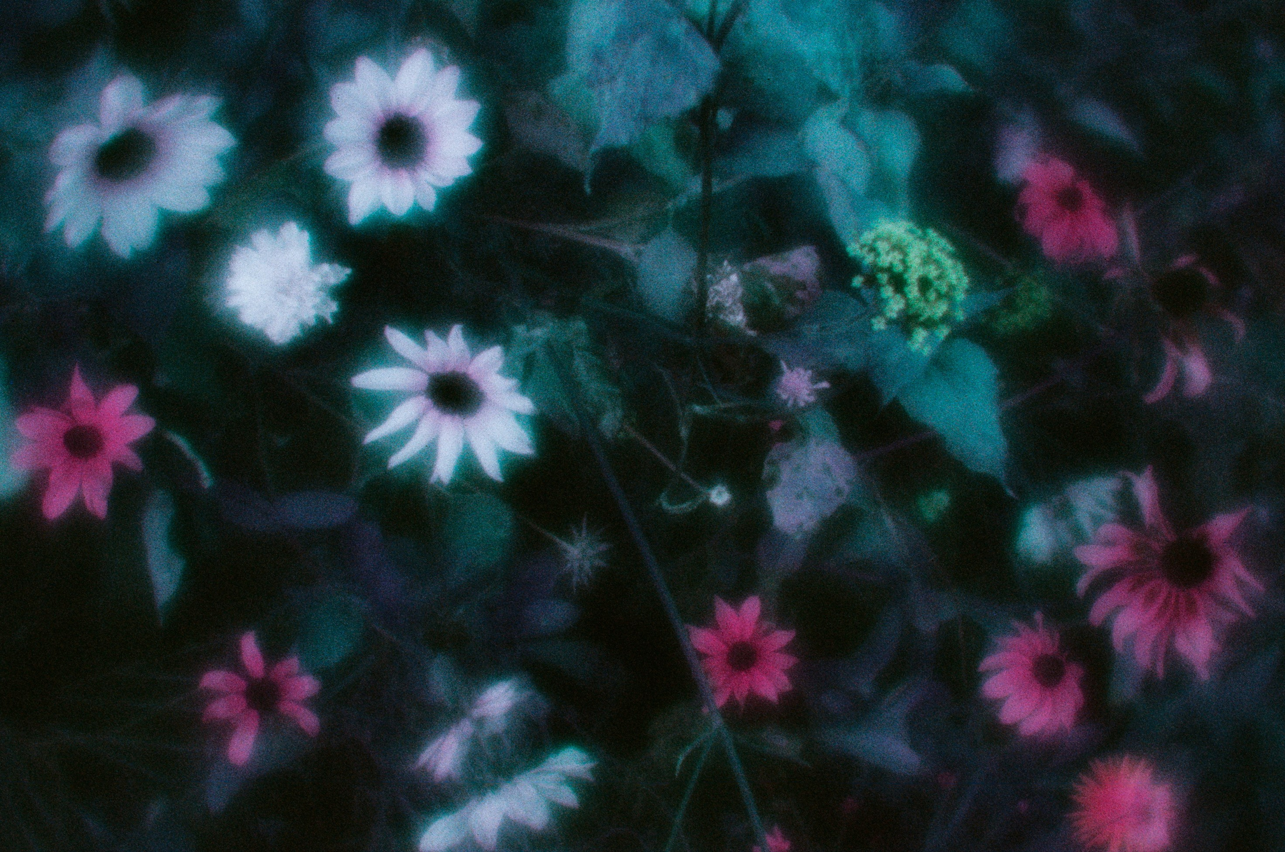 Everything i could never say to you II. EVER EXPOSED