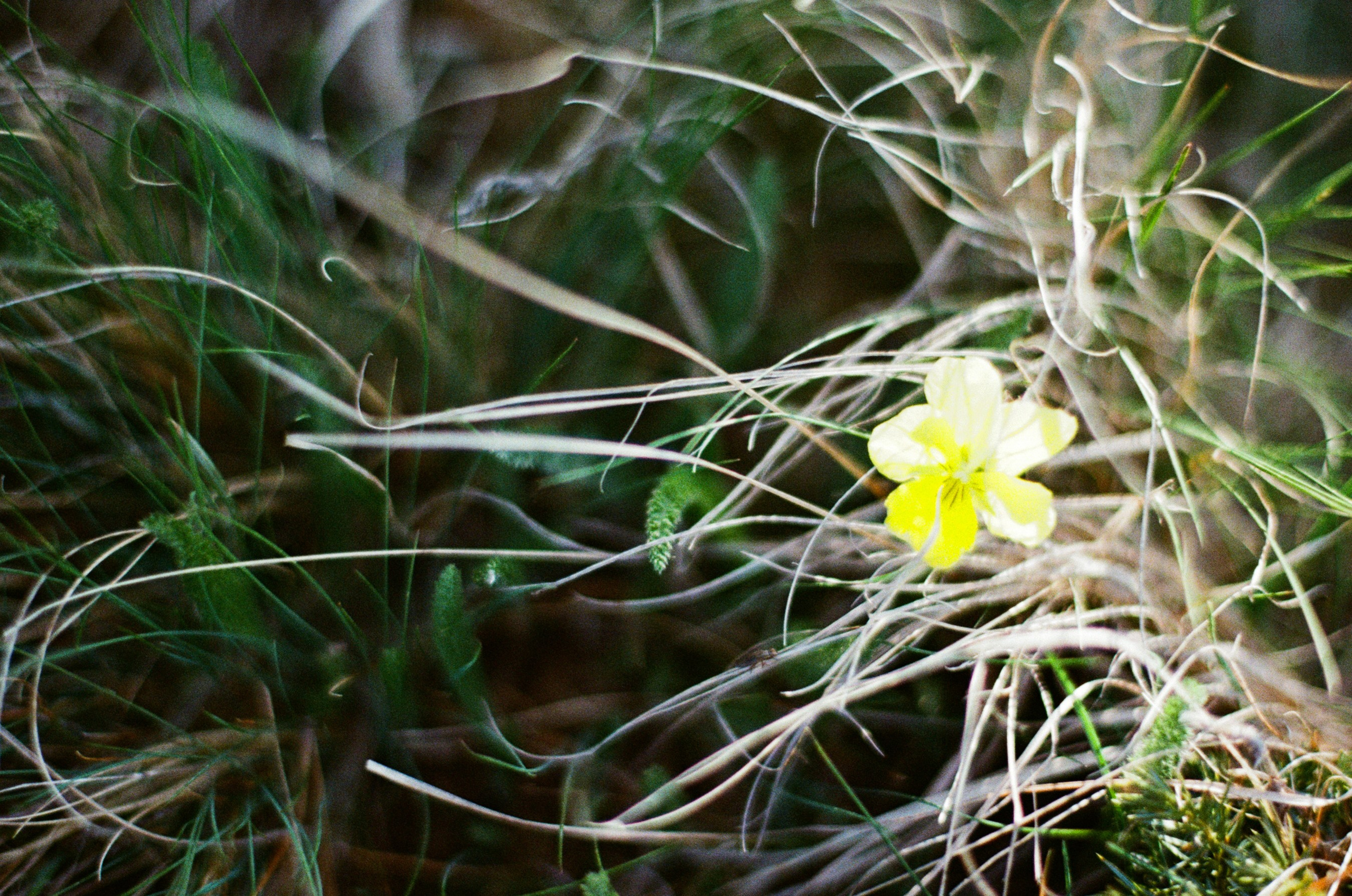 Point of no reply // ukraine, crimea III. EVER EXPOSED
