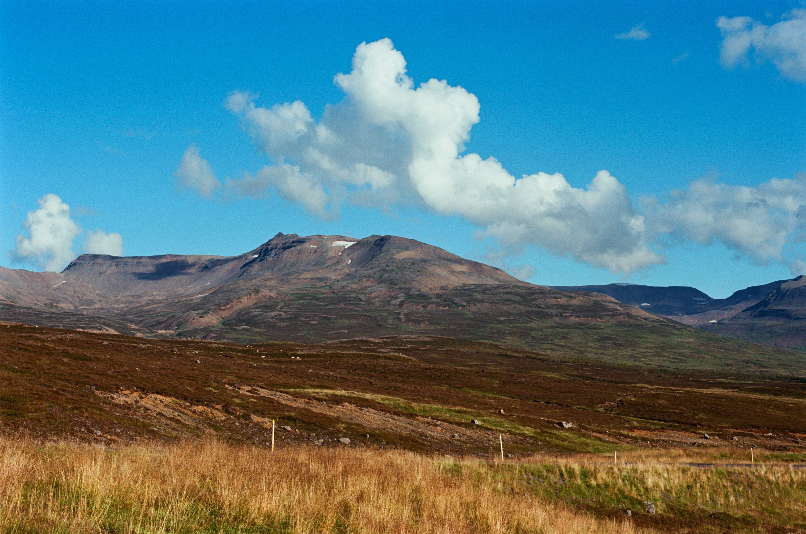 Bloodline // iceland, 76. EVER EXPOSED
