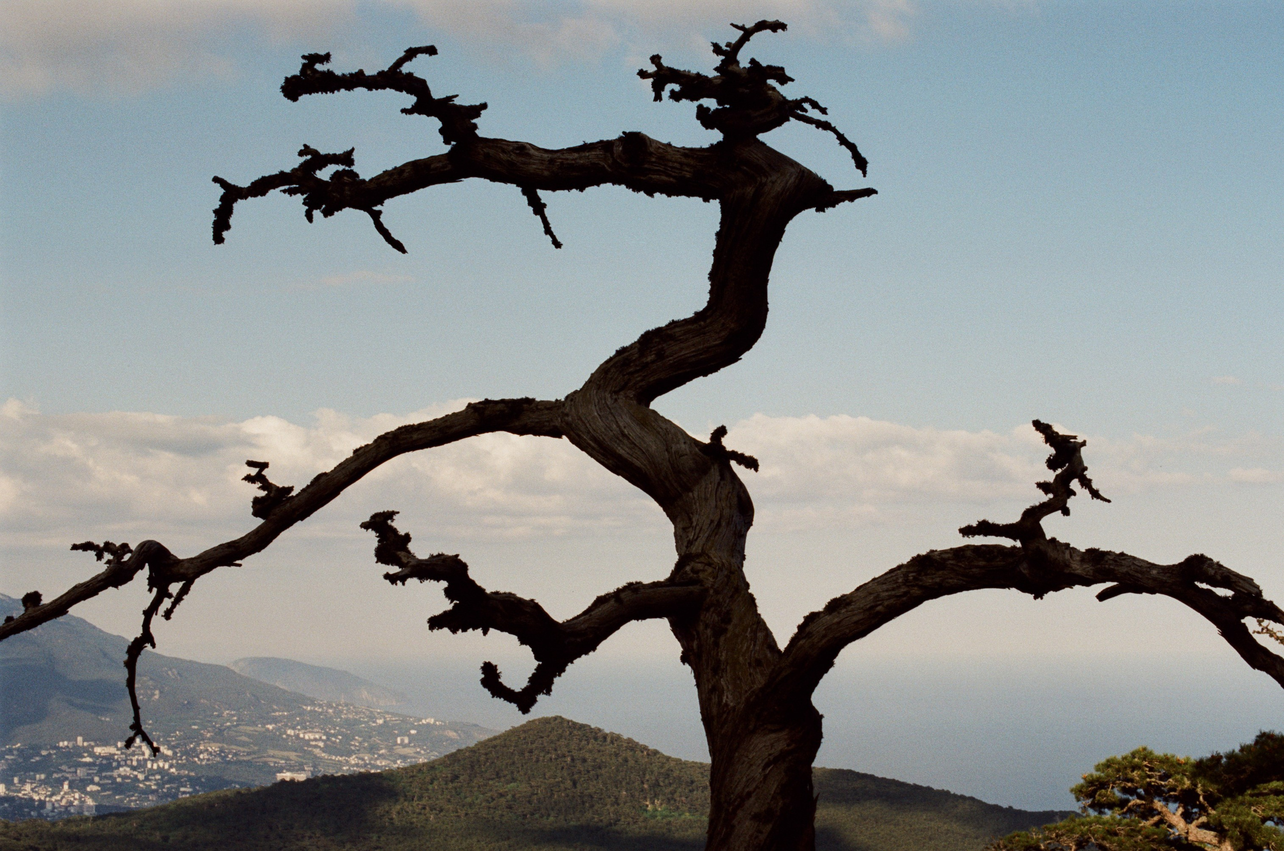 Silver strings // ukraine, crimea VIII. EVER EXPOSED