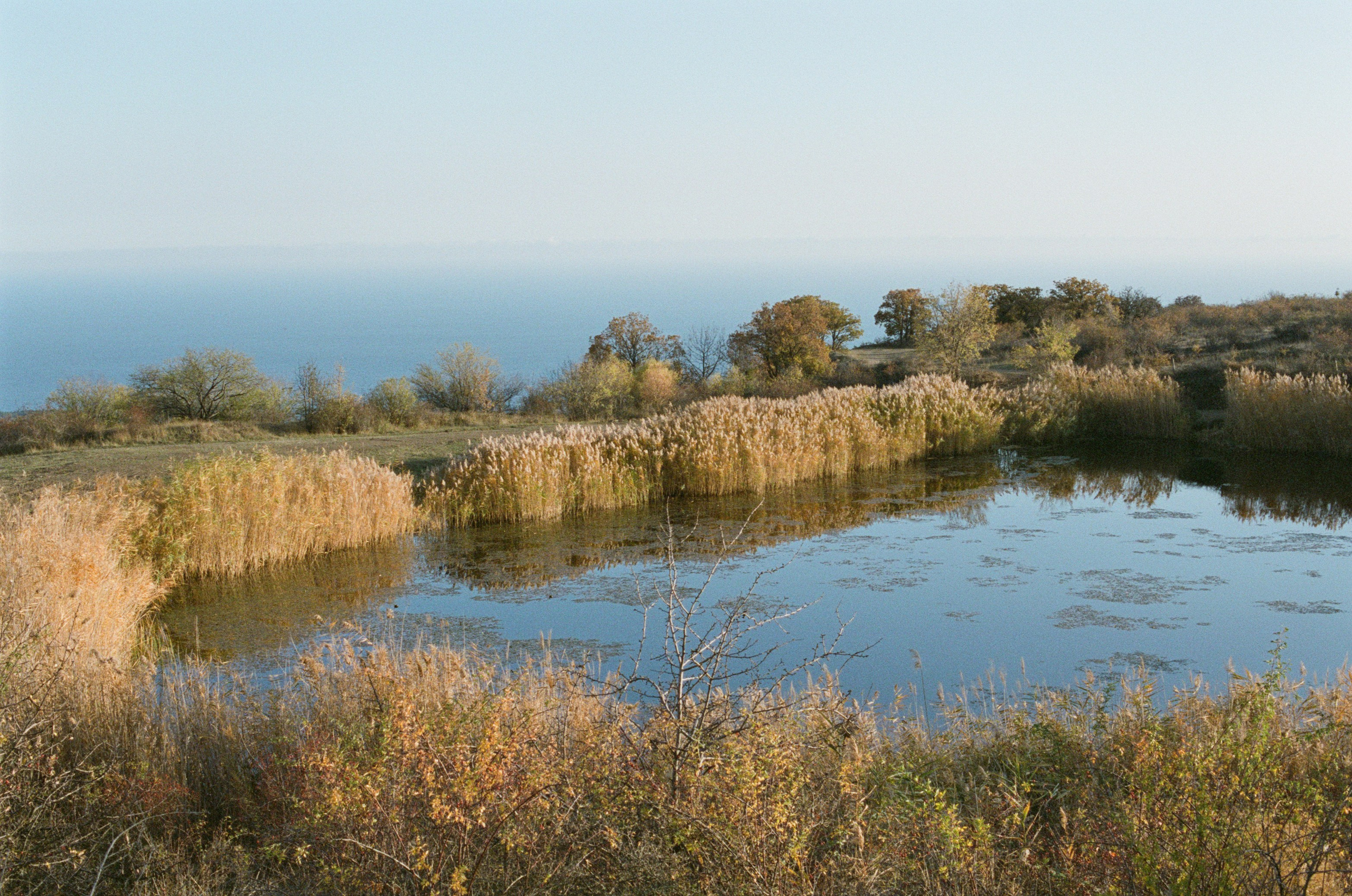 Wherever you will go // ukraine, crimea III. EVER EXPOSED