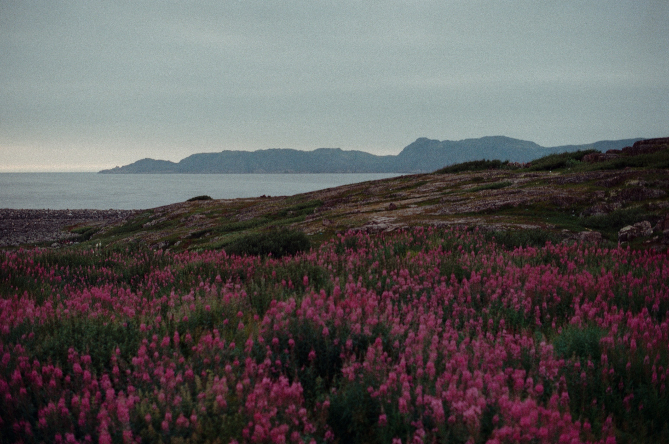 High and dry // teriberka. EVER EXPOSED