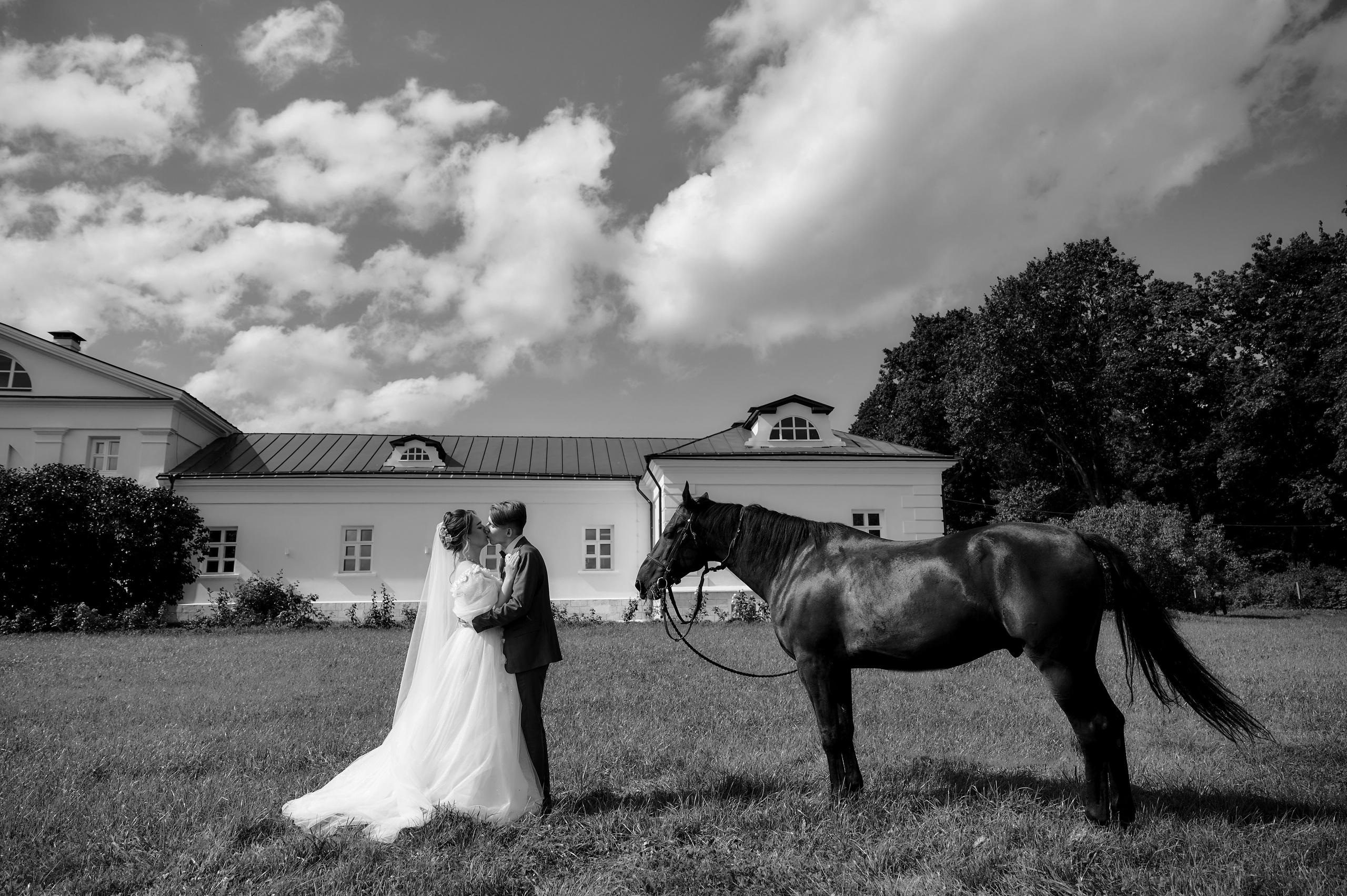 Свадьба в Петушках Тула. Свадебный фотограф в Туле Никита Беляев
