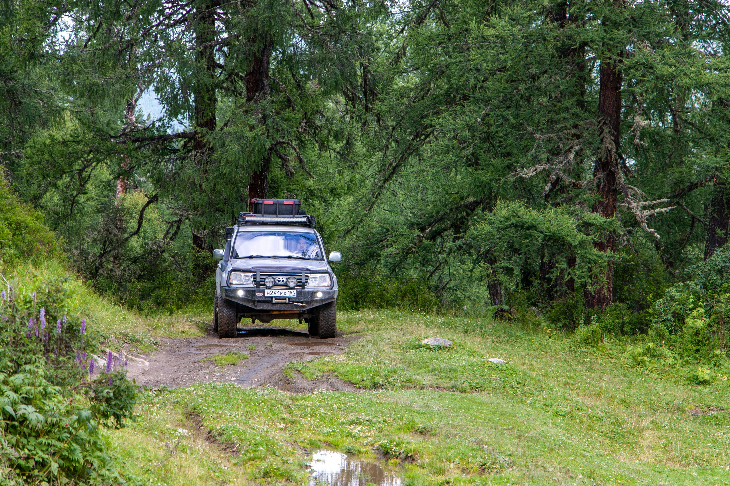 Укок 2022. Gennady Travel