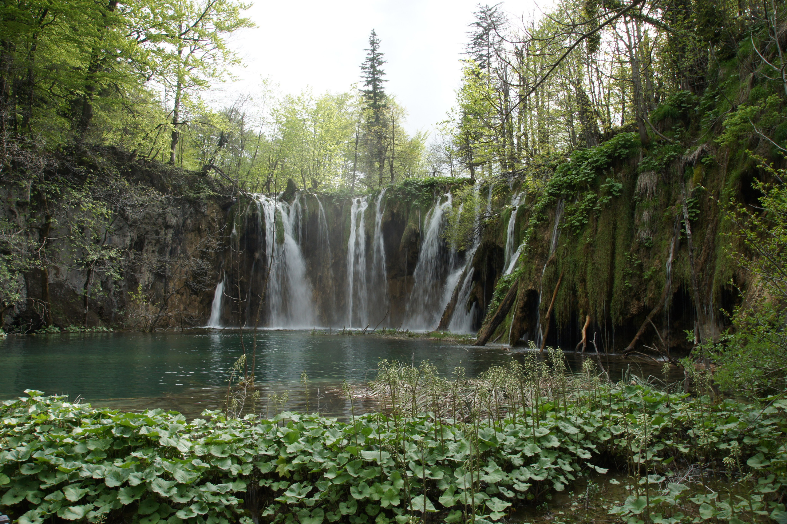 Хорватия. Главная