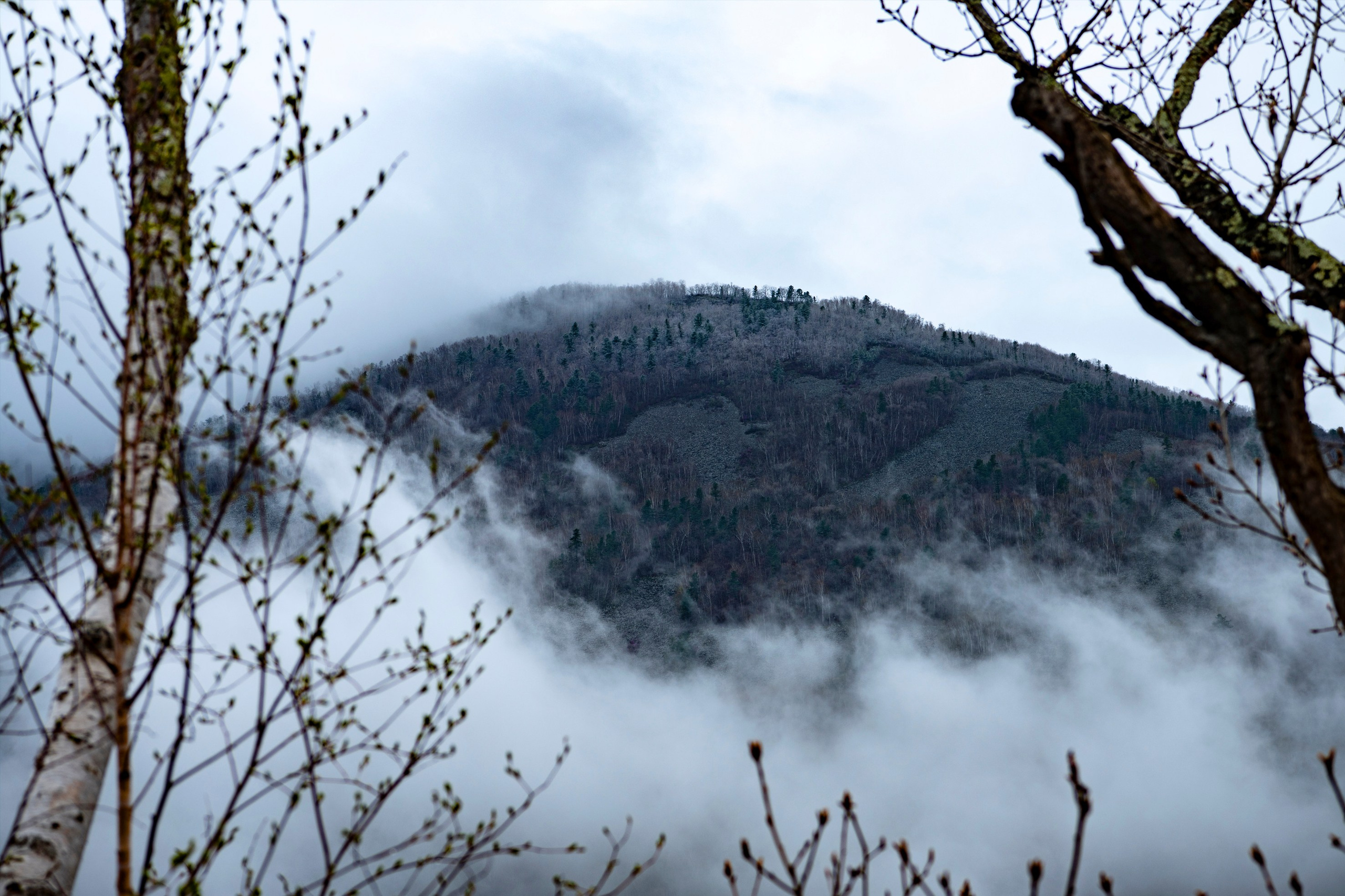 Природа Хабаровского края. Команда фотографов Кристины Ивановой