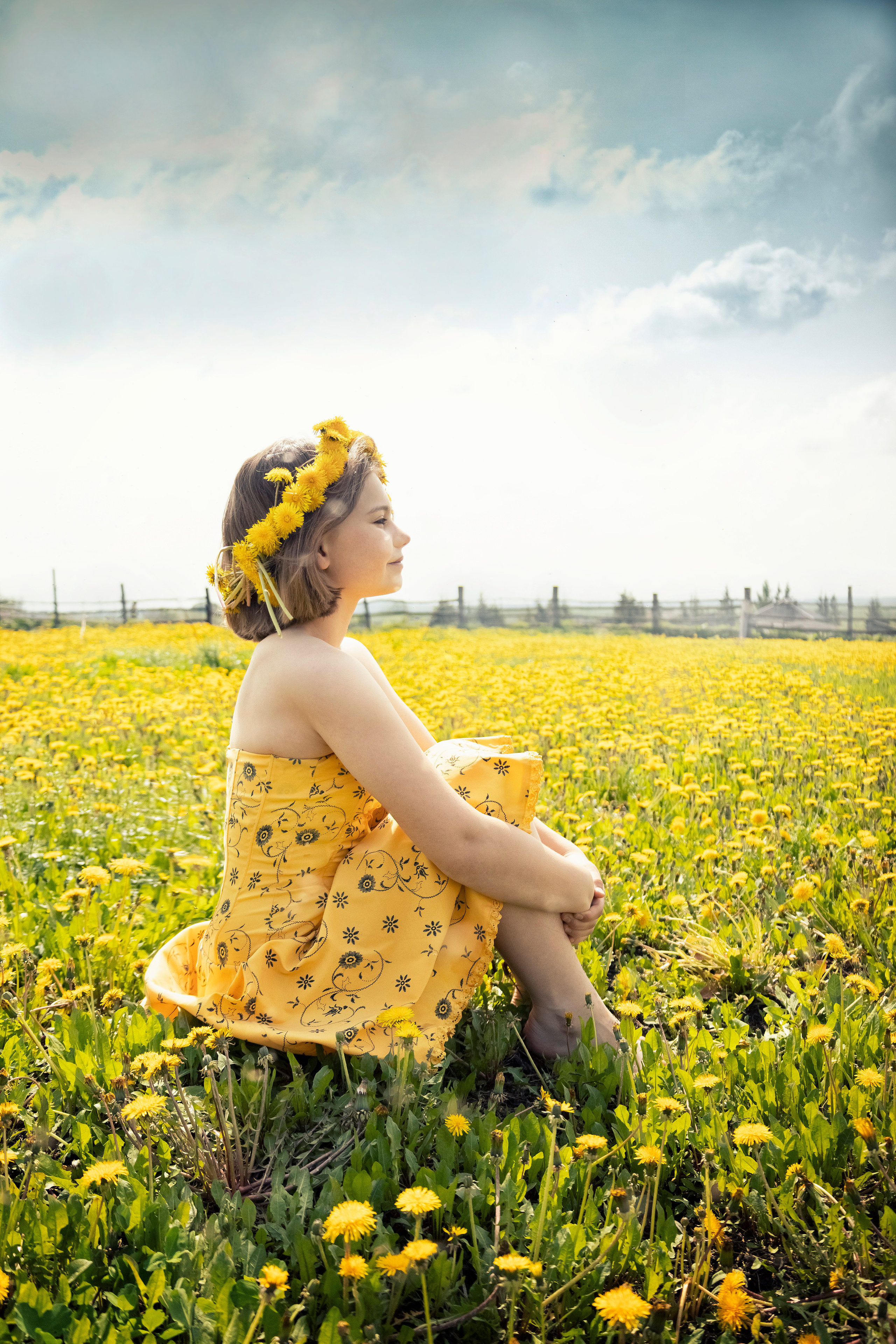 Одуванчики