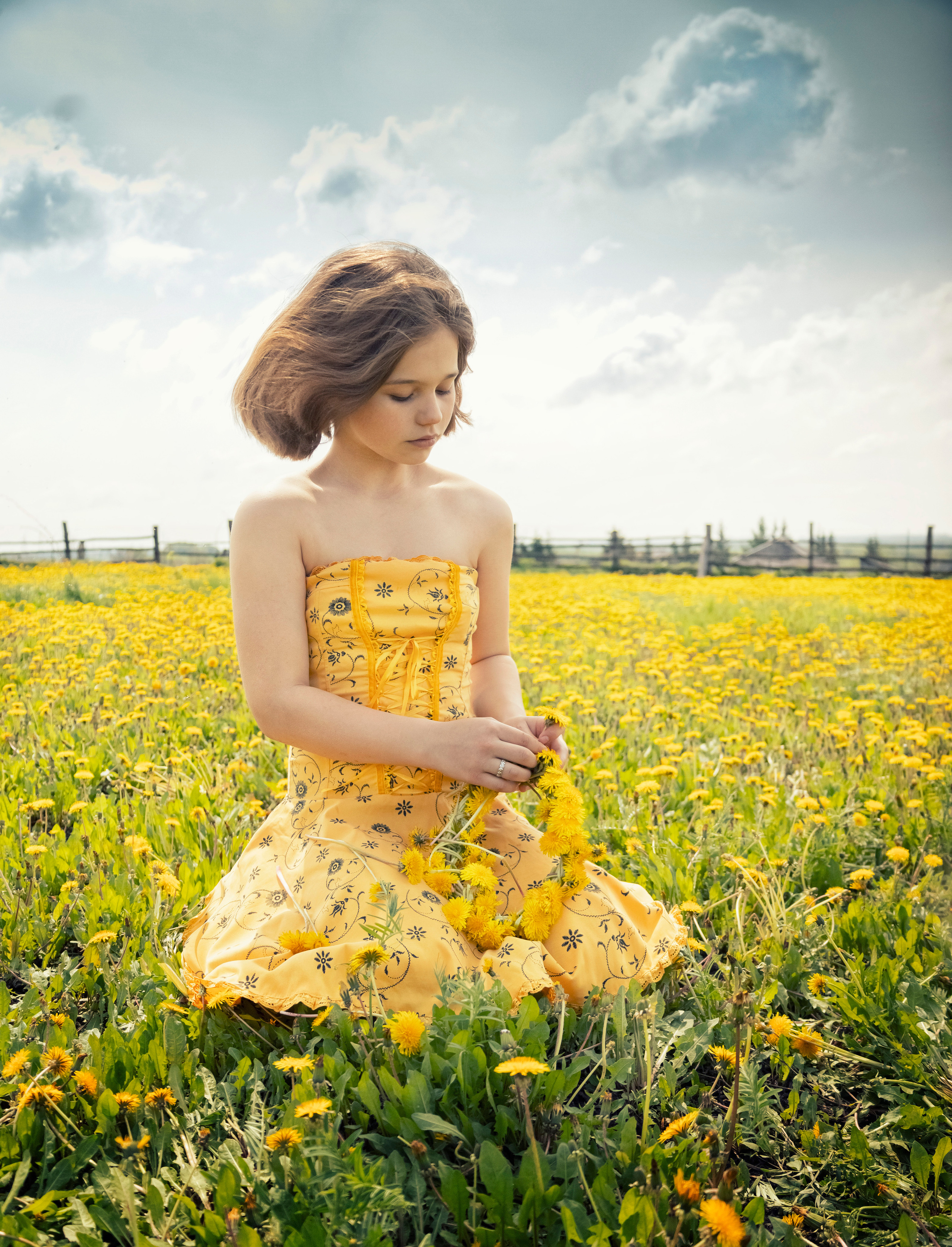 Одуванчики