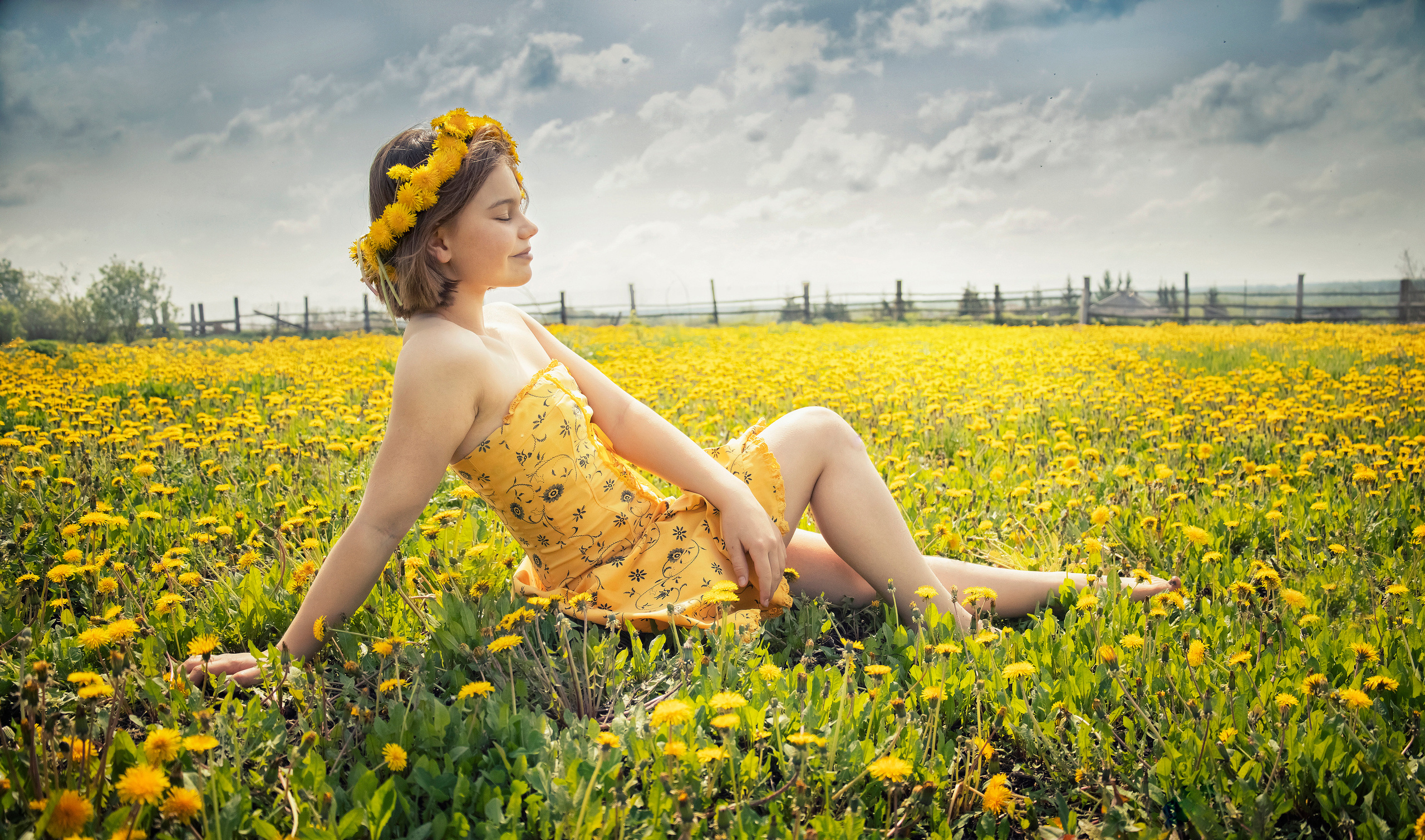 Одуванчики