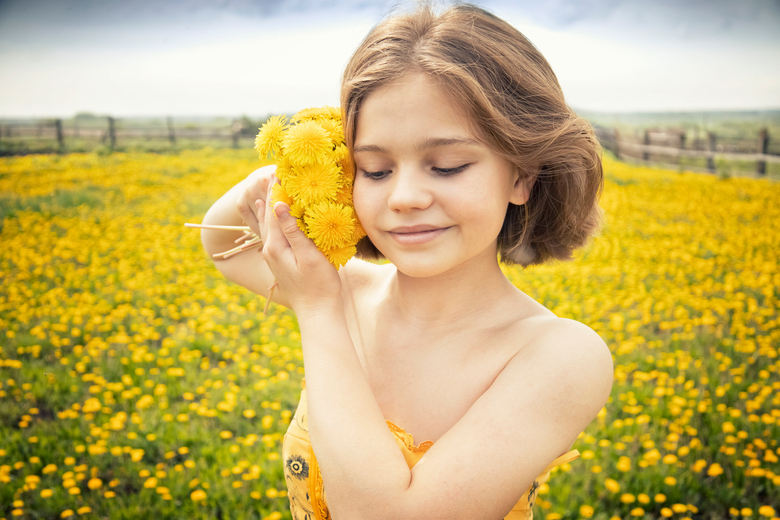 Одуванчики