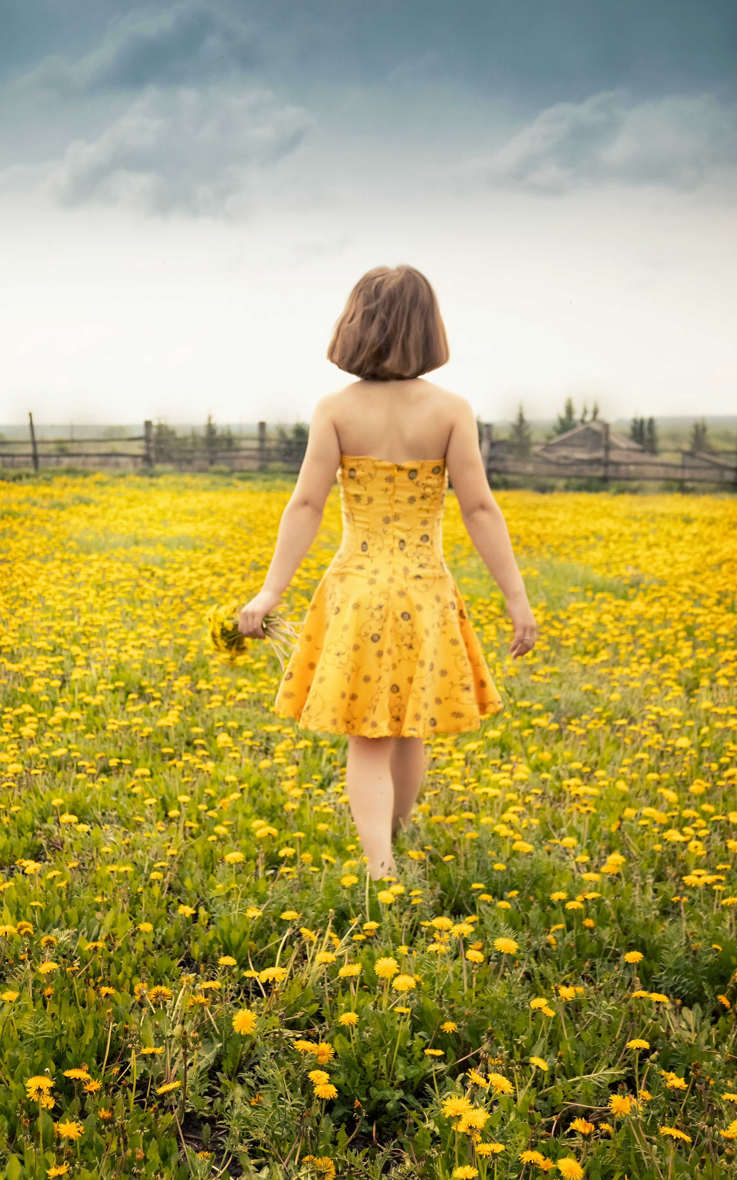 Одуванчики