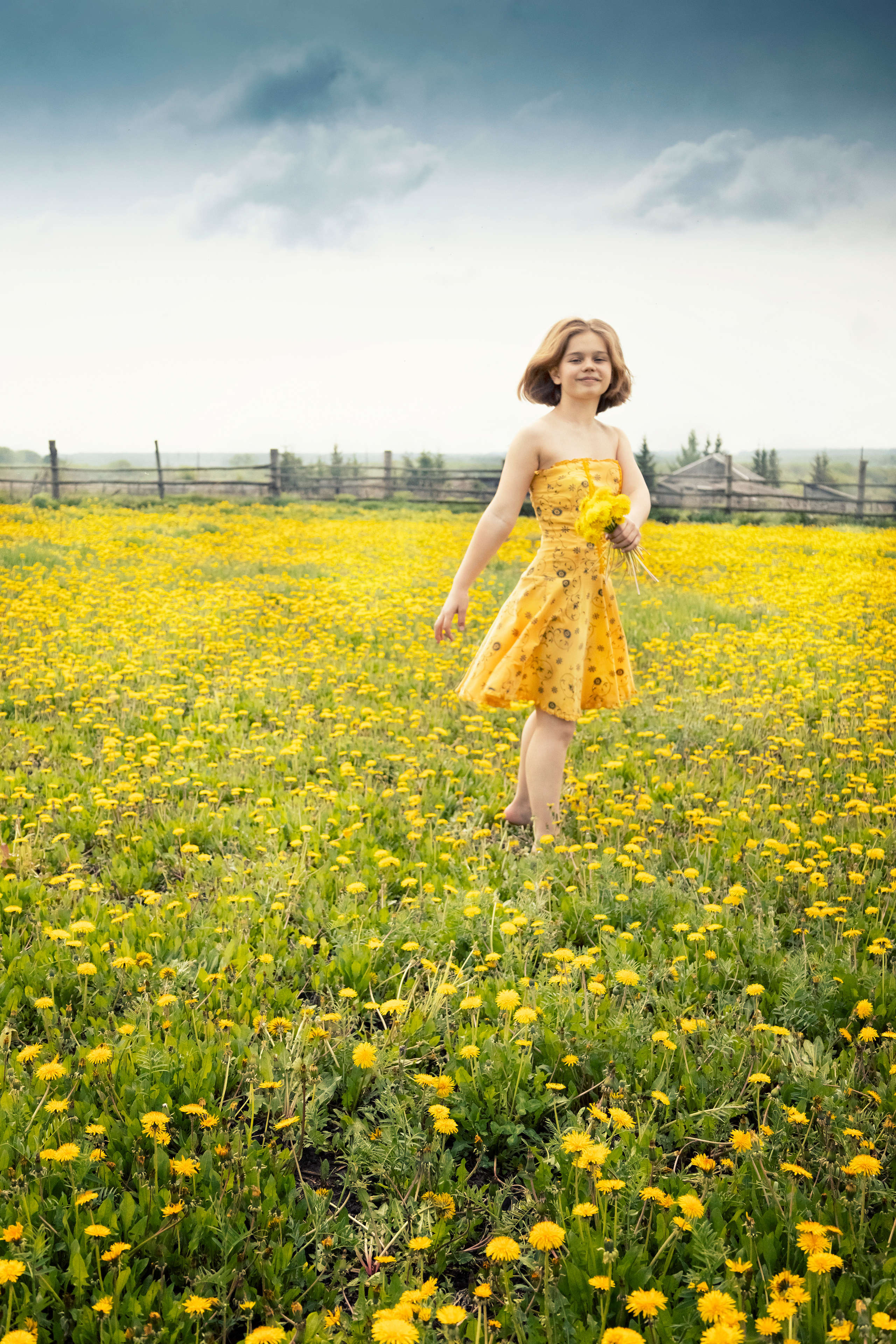 Одуванчики