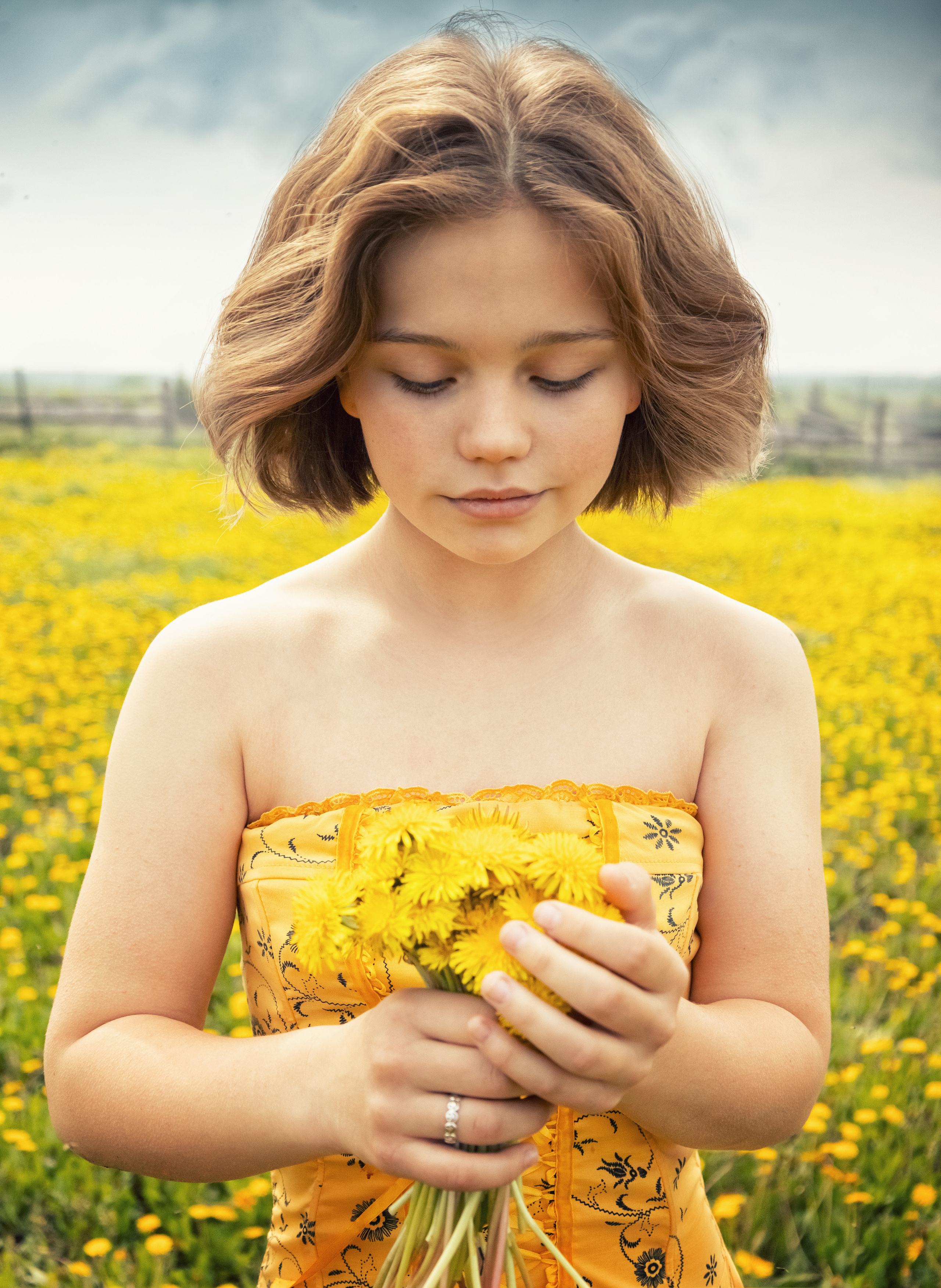 Одуванчики