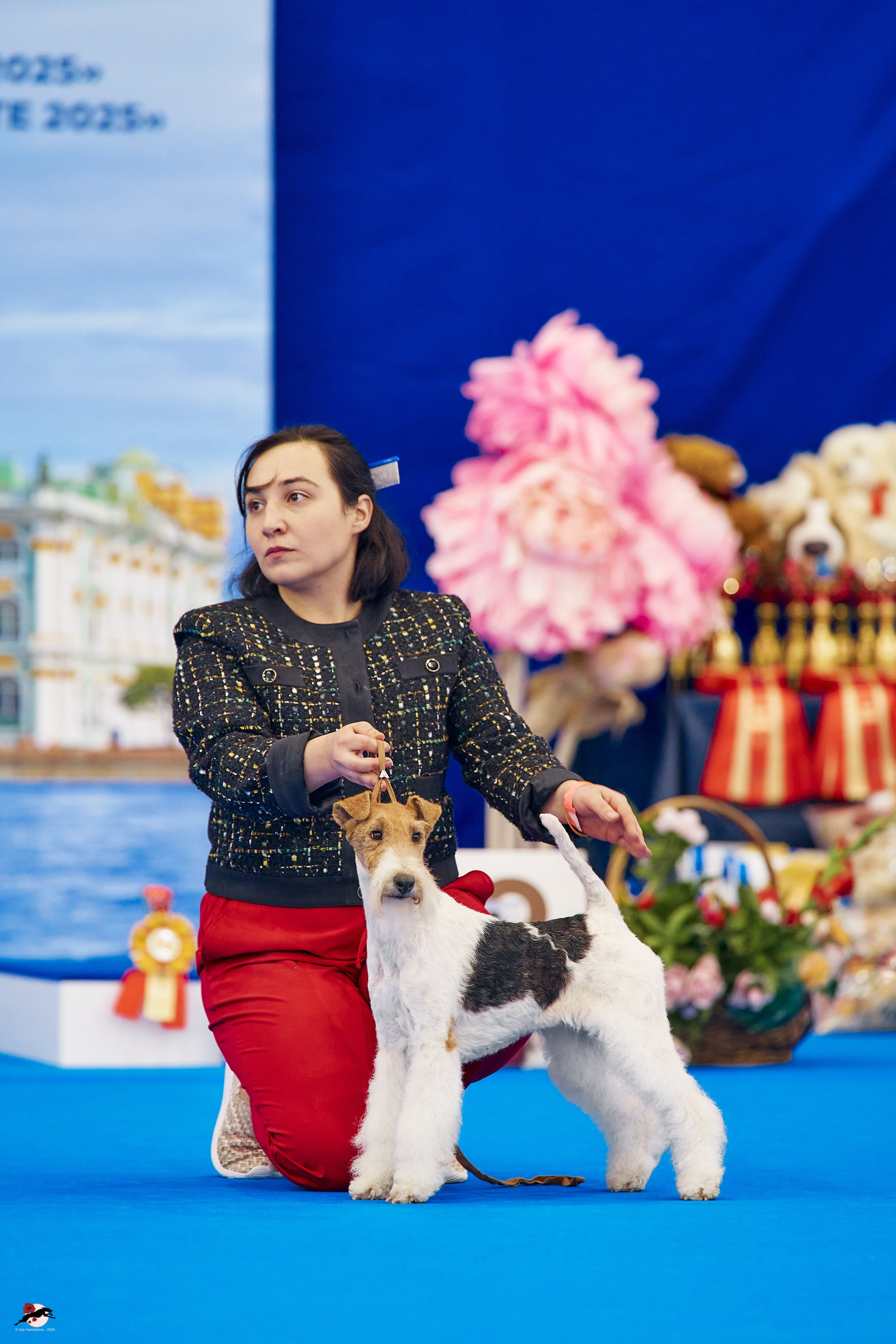 27.04.2025 | "Петербург-Элита 2025" & «КУБОК «ЭЛИТЫ»-2025»