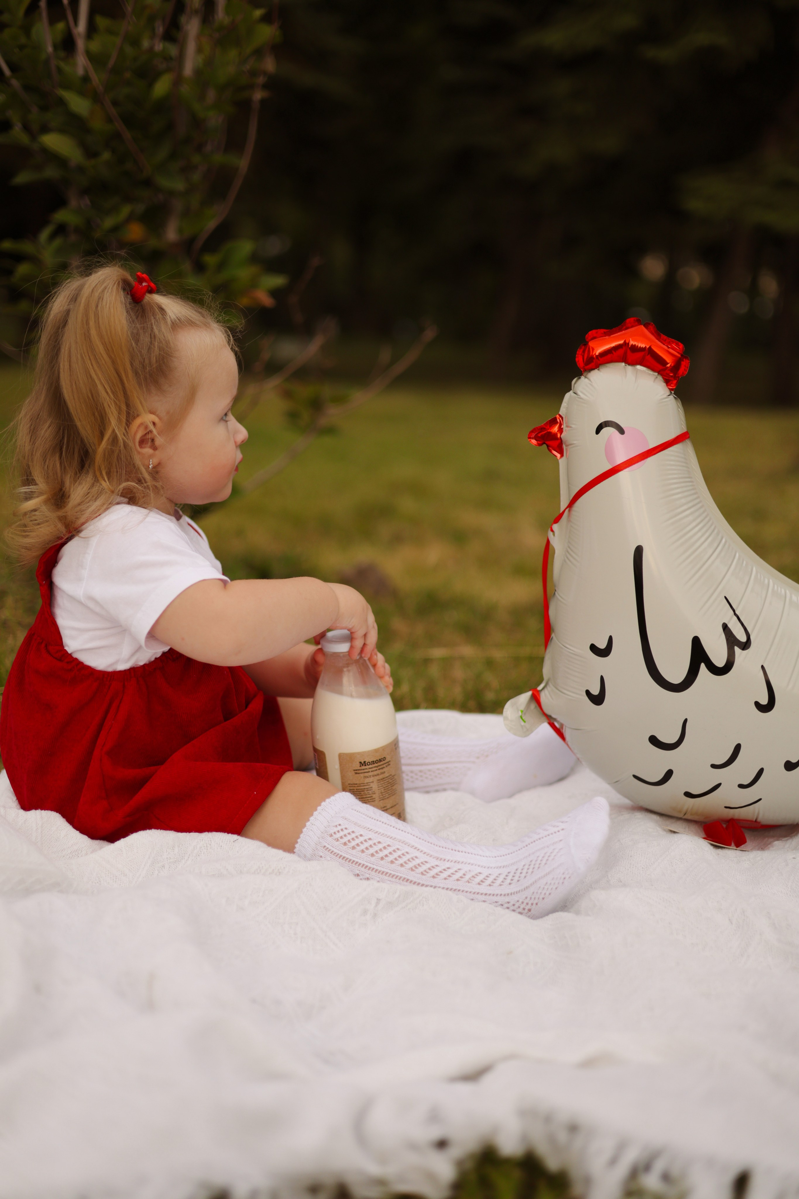 Одним летним днем …🐓. Фотограф Донецк Александра Юрку