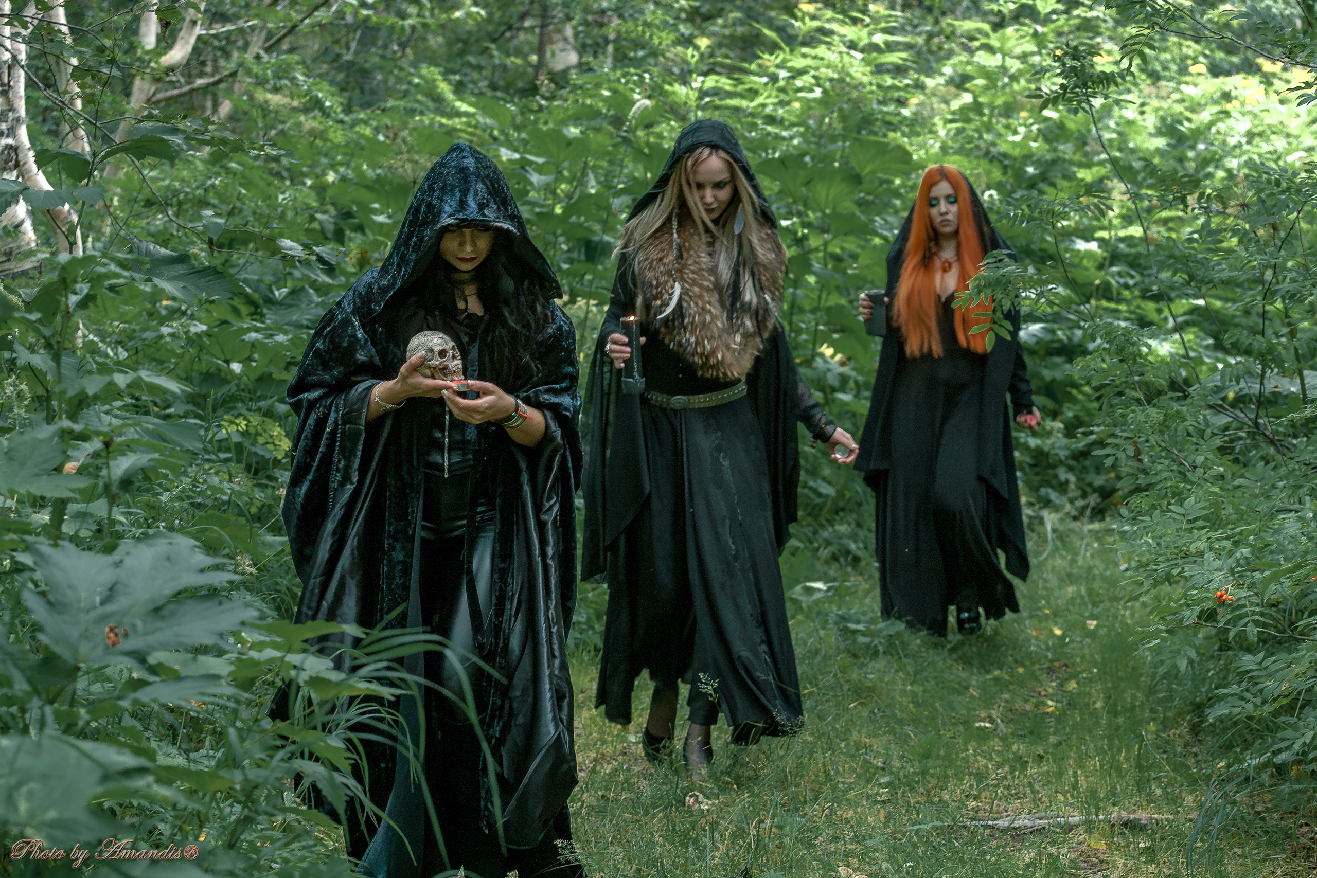 The witches. Репортажная съемка в Москве и области. Анималистика