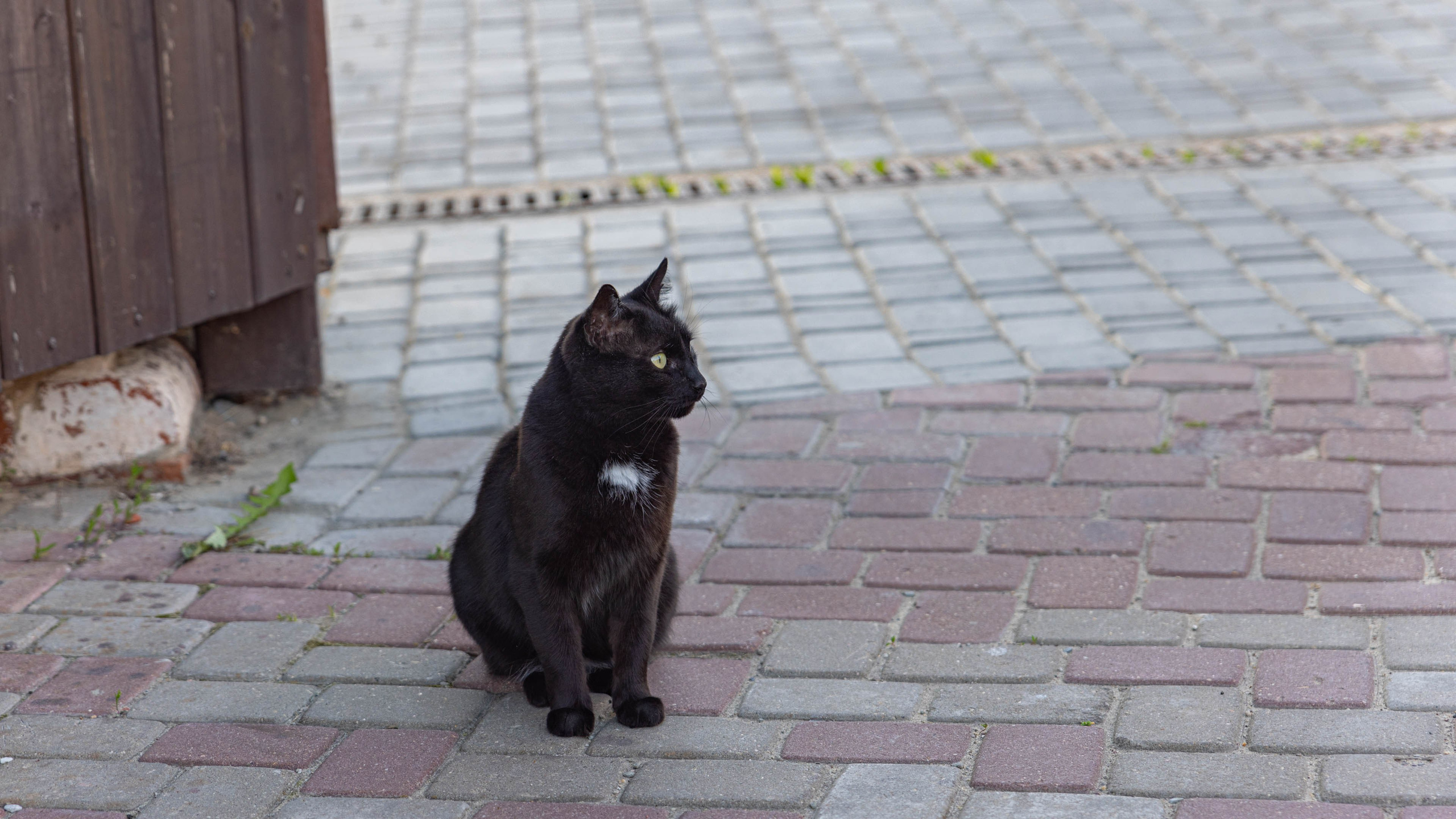 2025 05 Свияжск. Фотографии