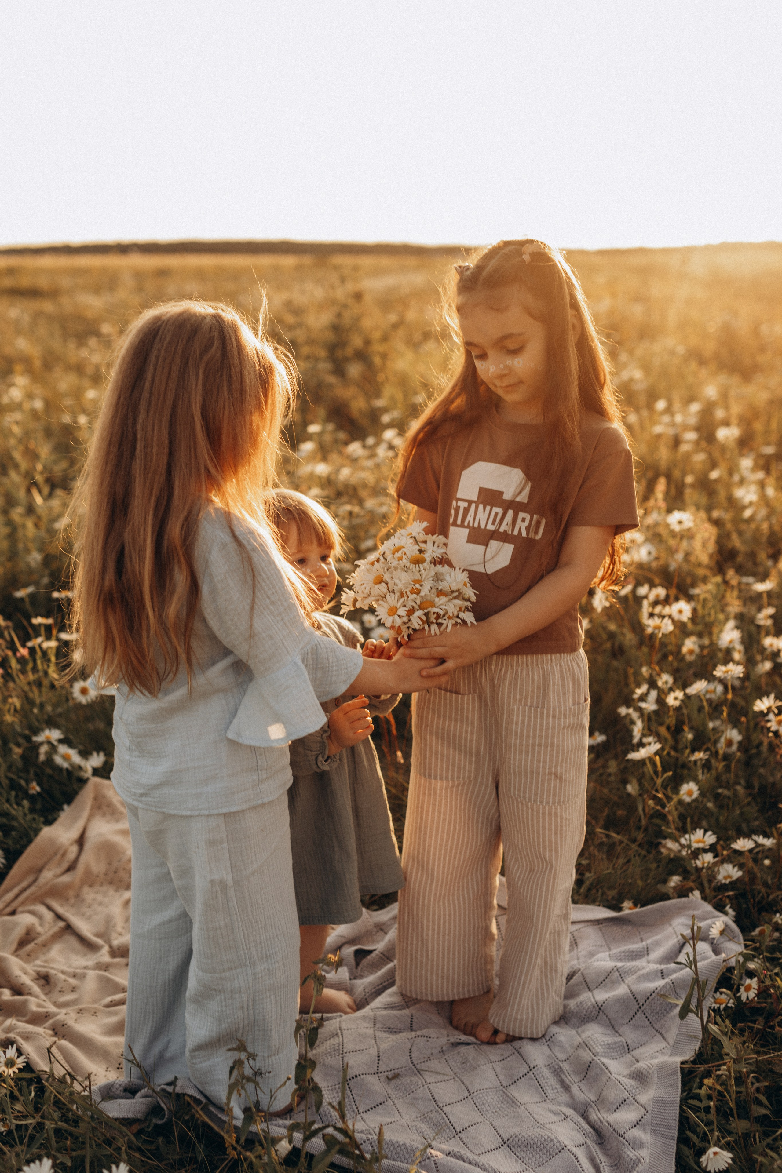 Закат на ромашковом поле. Фотограф в Ставрополе Svetlana Matveeva