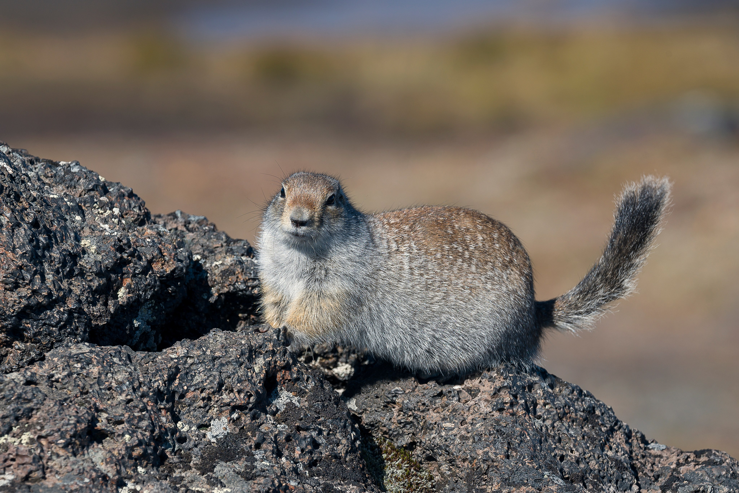 Камчатка. Портретный фотограф в Челябинске Катерина Руди