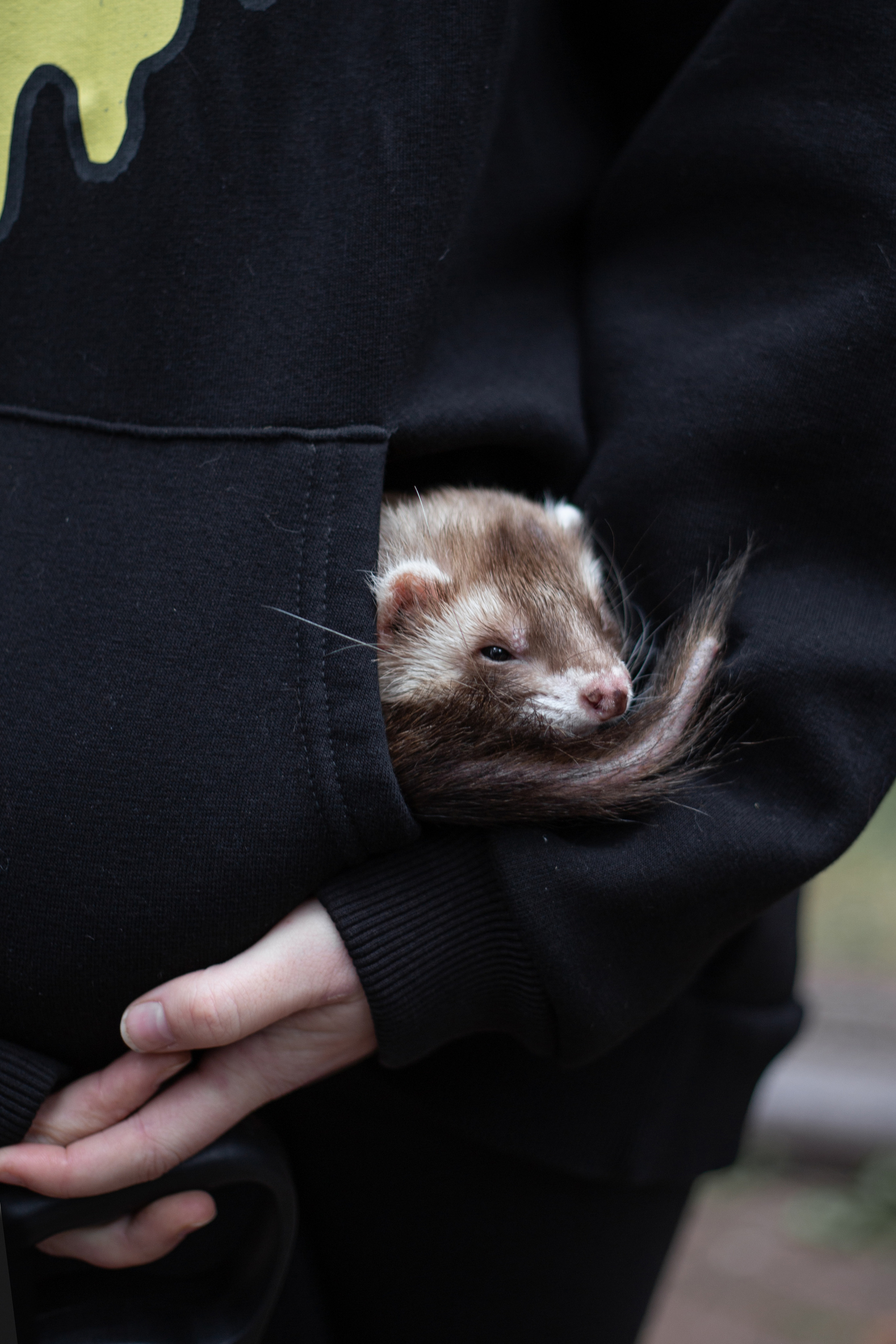 Зверушки. Фотограф в Минске Екатерина Тузова