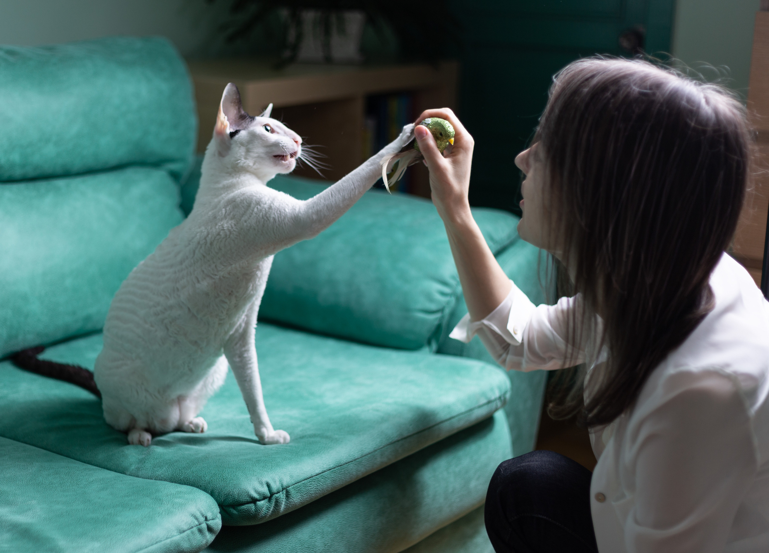 Фотосессия у вас дома. Фотограф в Минске Екатерина Тузова