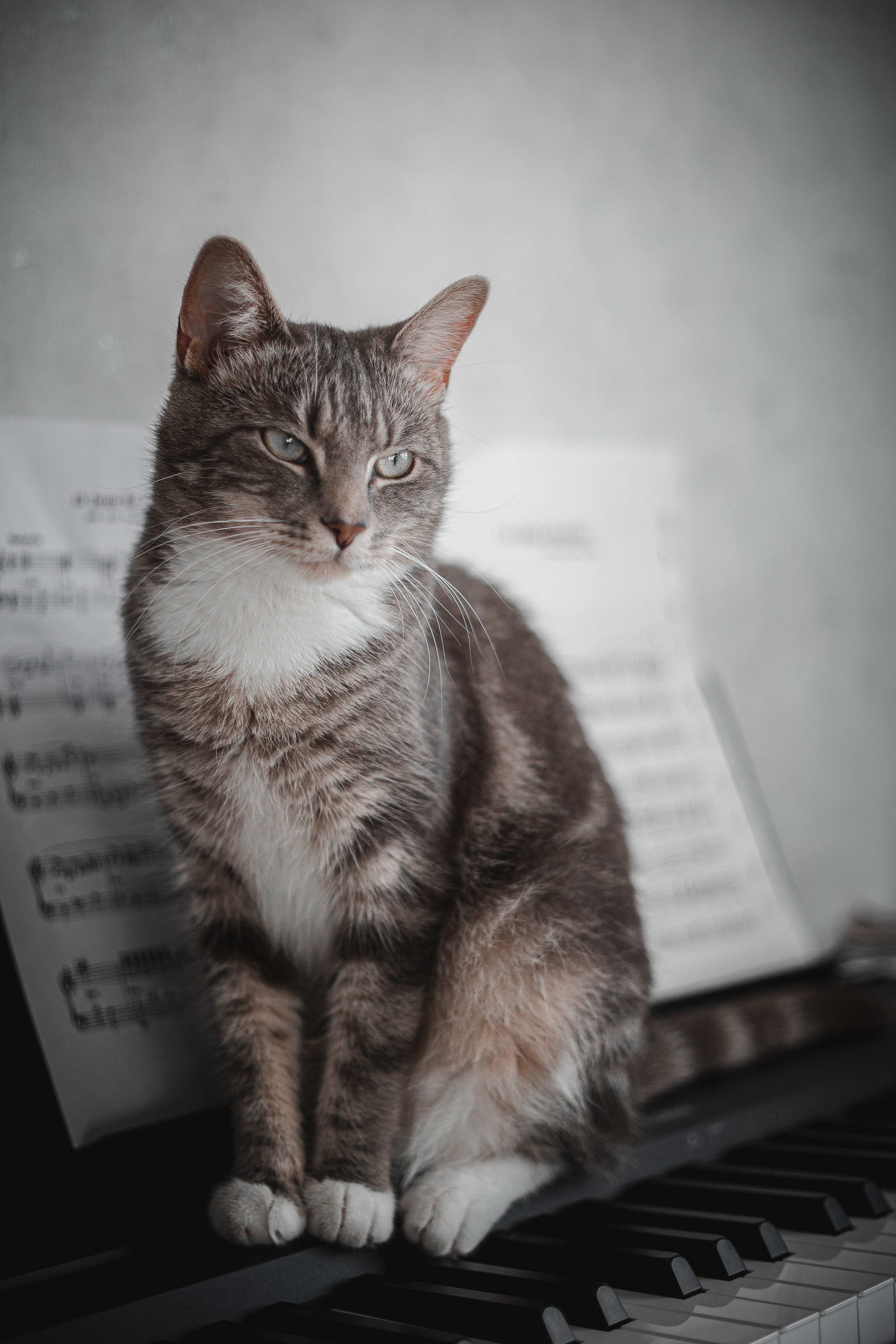 Зверушки. Фотограф в Минске Екатерина Тузова