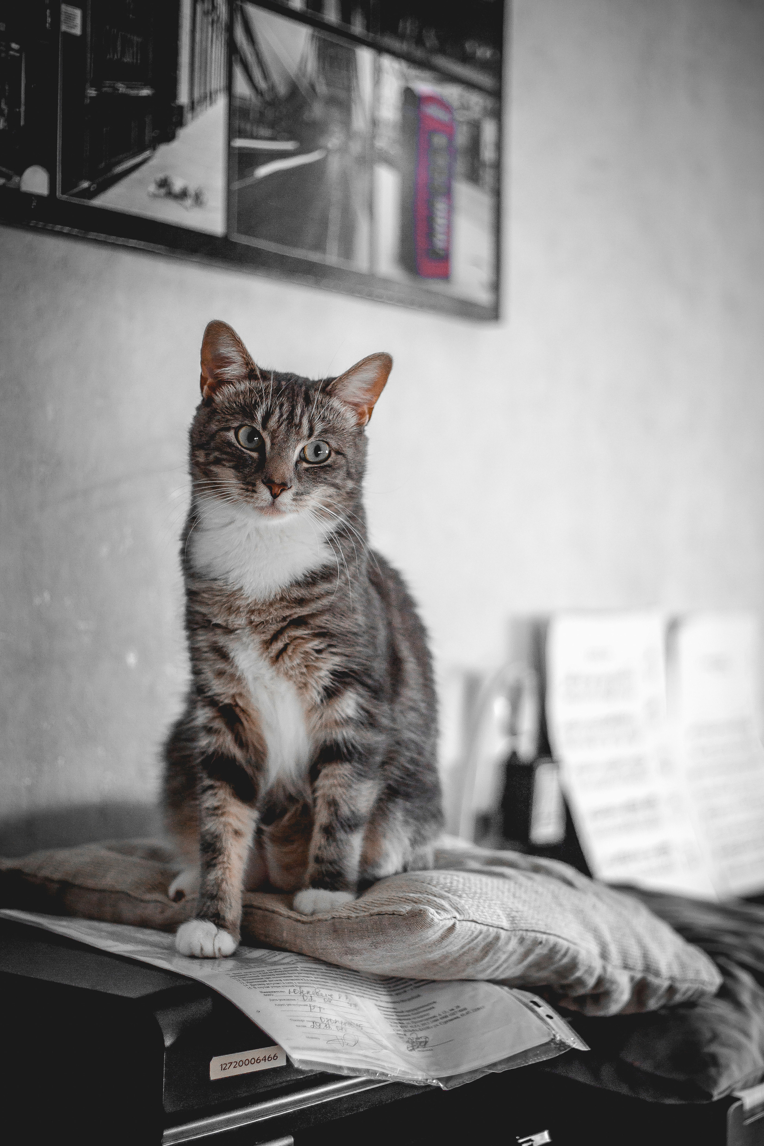 Зверушки. Фотограф в Минске Екатерина Тузова