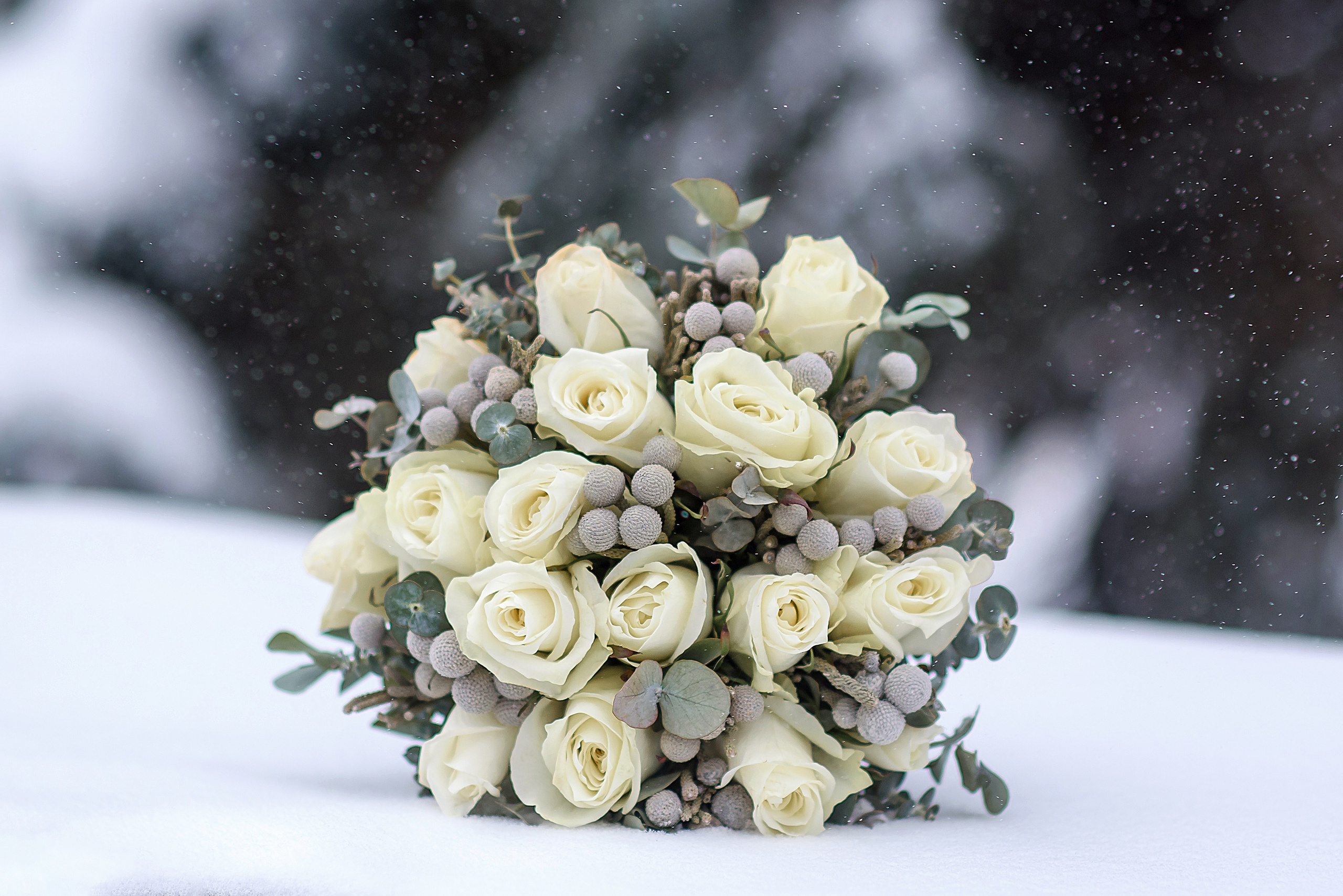 Свадебная фотосессия. Семейный фотограф в Минске Виктория Дубровская