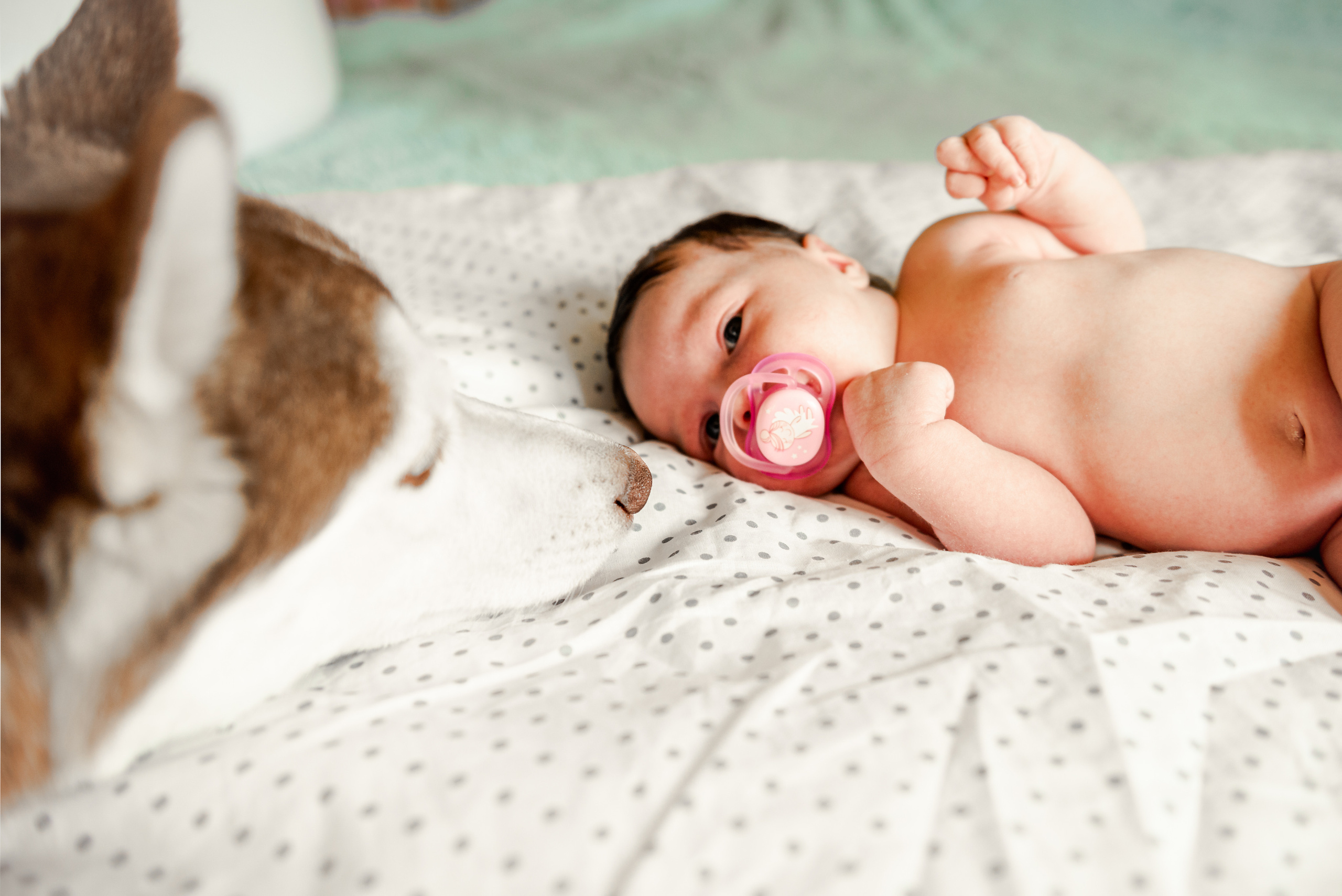 Первые дни жизни. Семейный и детский фотограф в Хабаровске Матюшкова Екатерина