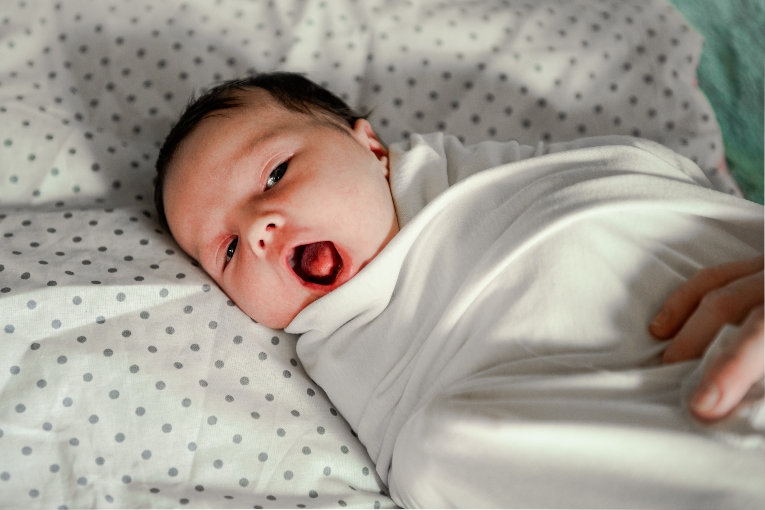 Первые дни жизни. Семейный и детский фотограф в Хабаровске Матюшкова Екатерина