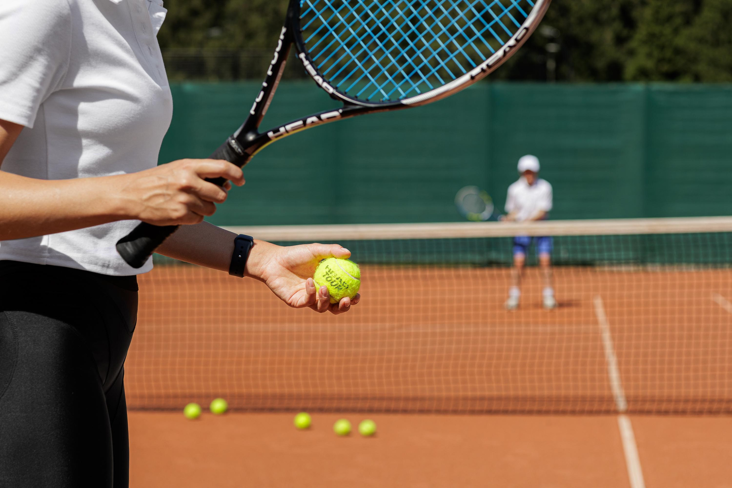 Cosmos Collection Izumrudny Les