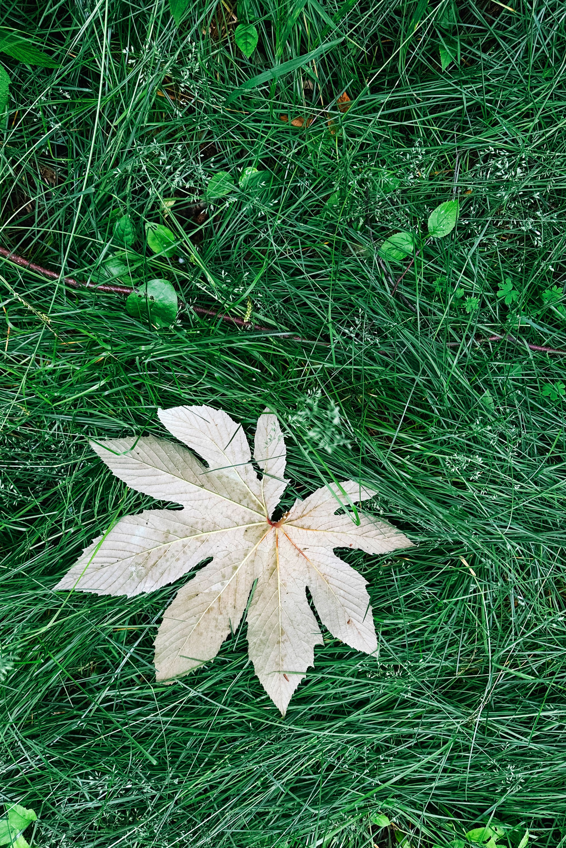 Природа. Команда фотографов Кристины Ивановой