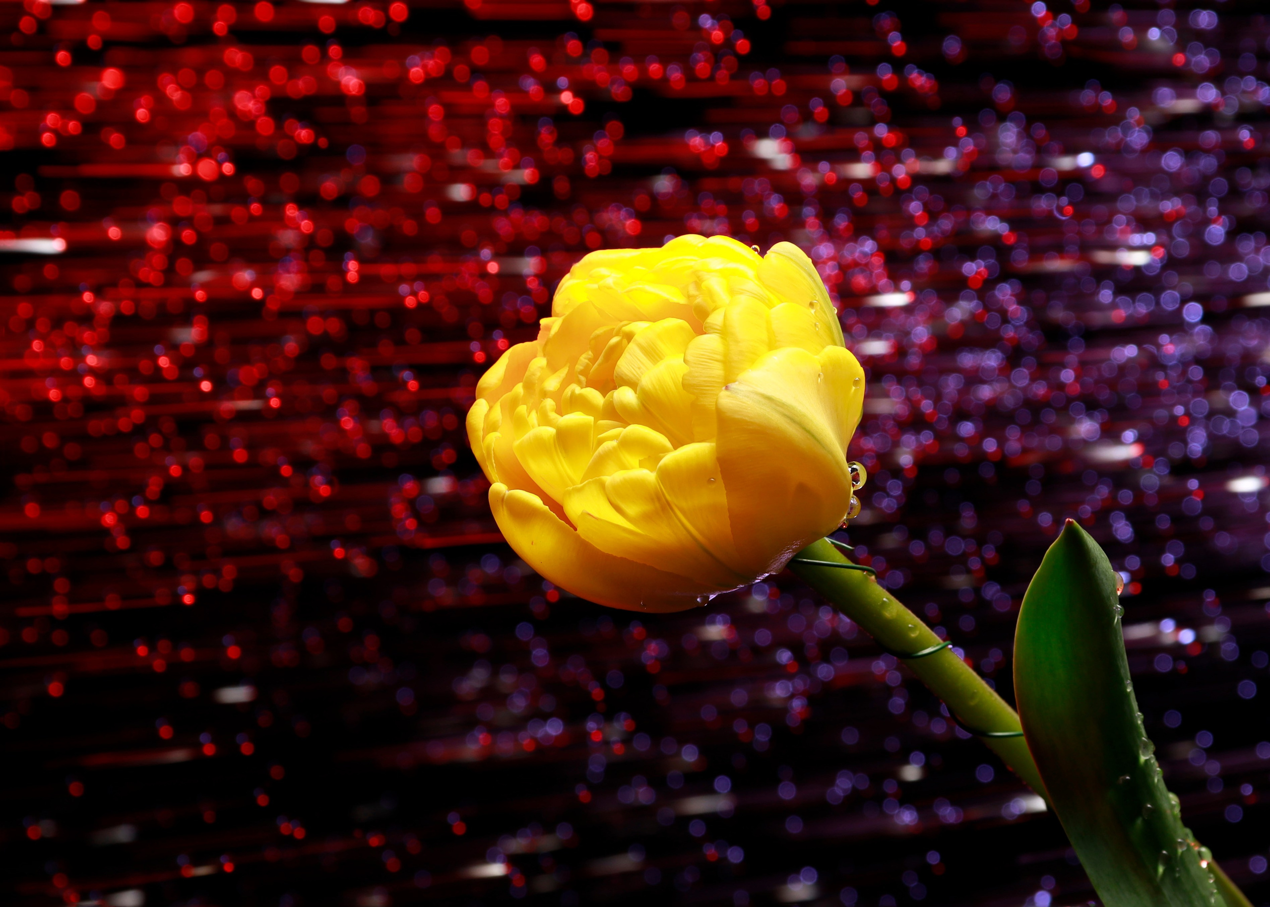 Предметная съемка. Фотограф Светлана Заплатина