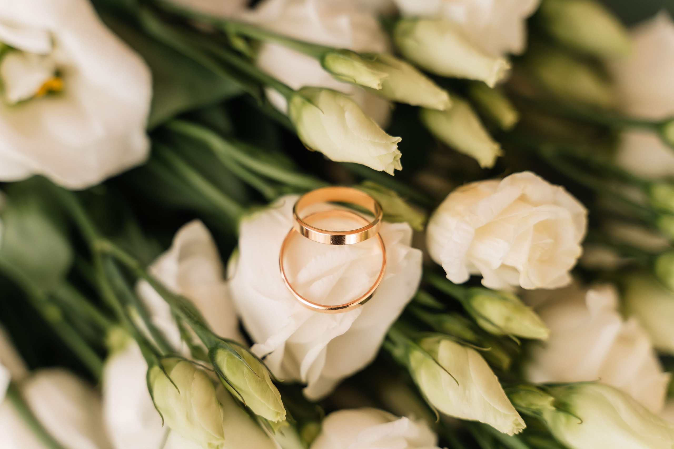 Аня и Семён. Семейный фотограф Новочеркасск