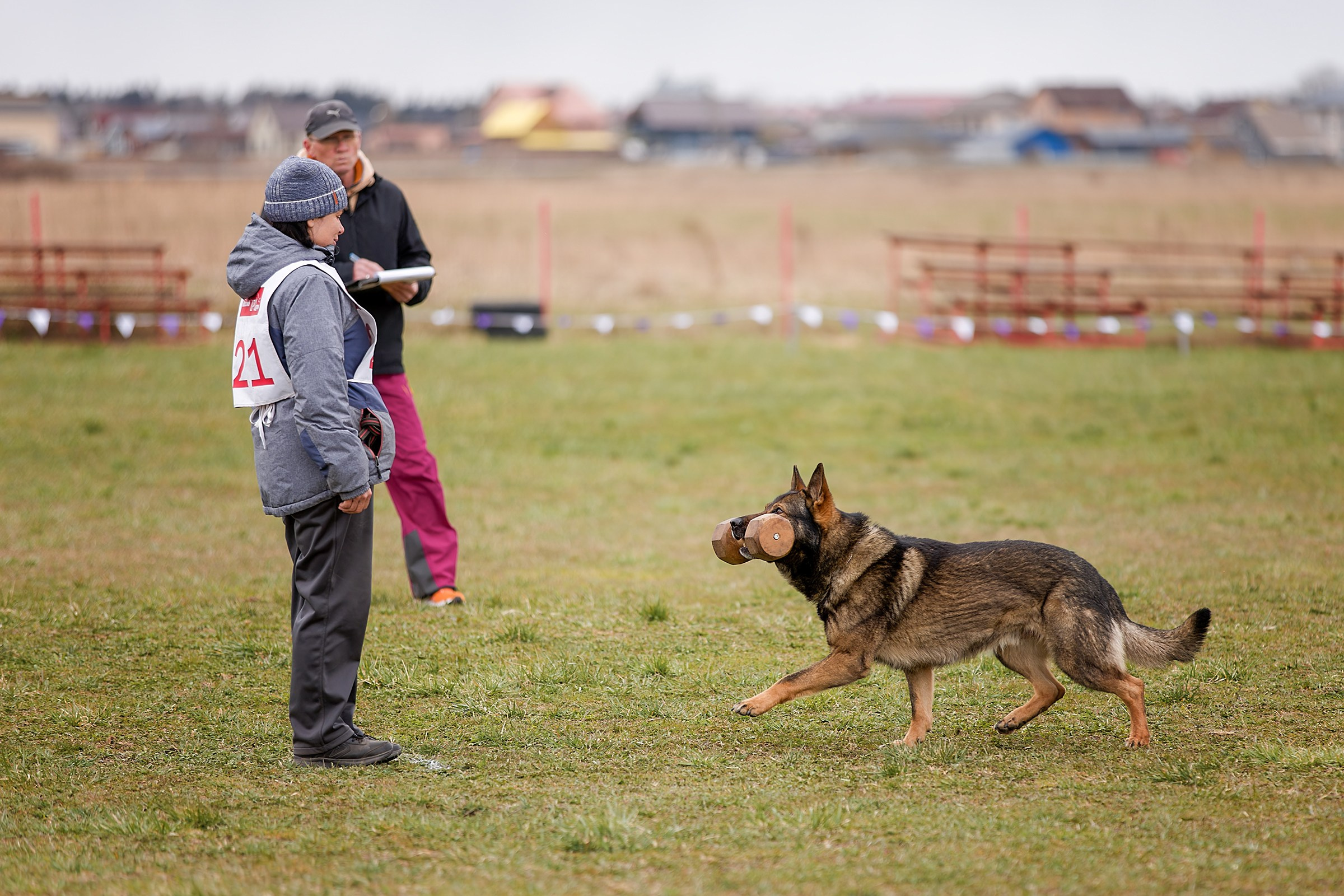 Чемпионат СЗФО по IGP 1 — 3. Irenephoto.ru