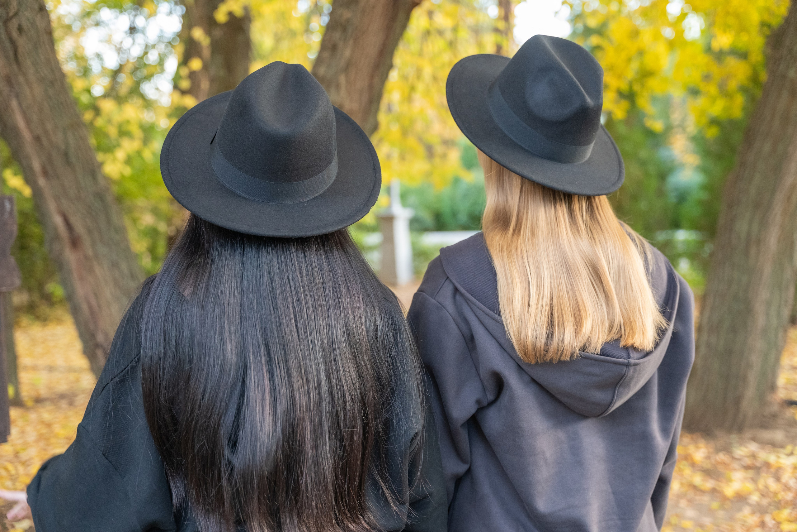Золотая дружба в осенних красках. Фотограф |Ленинск, Волжский, Волгоград| Наталья Савилова