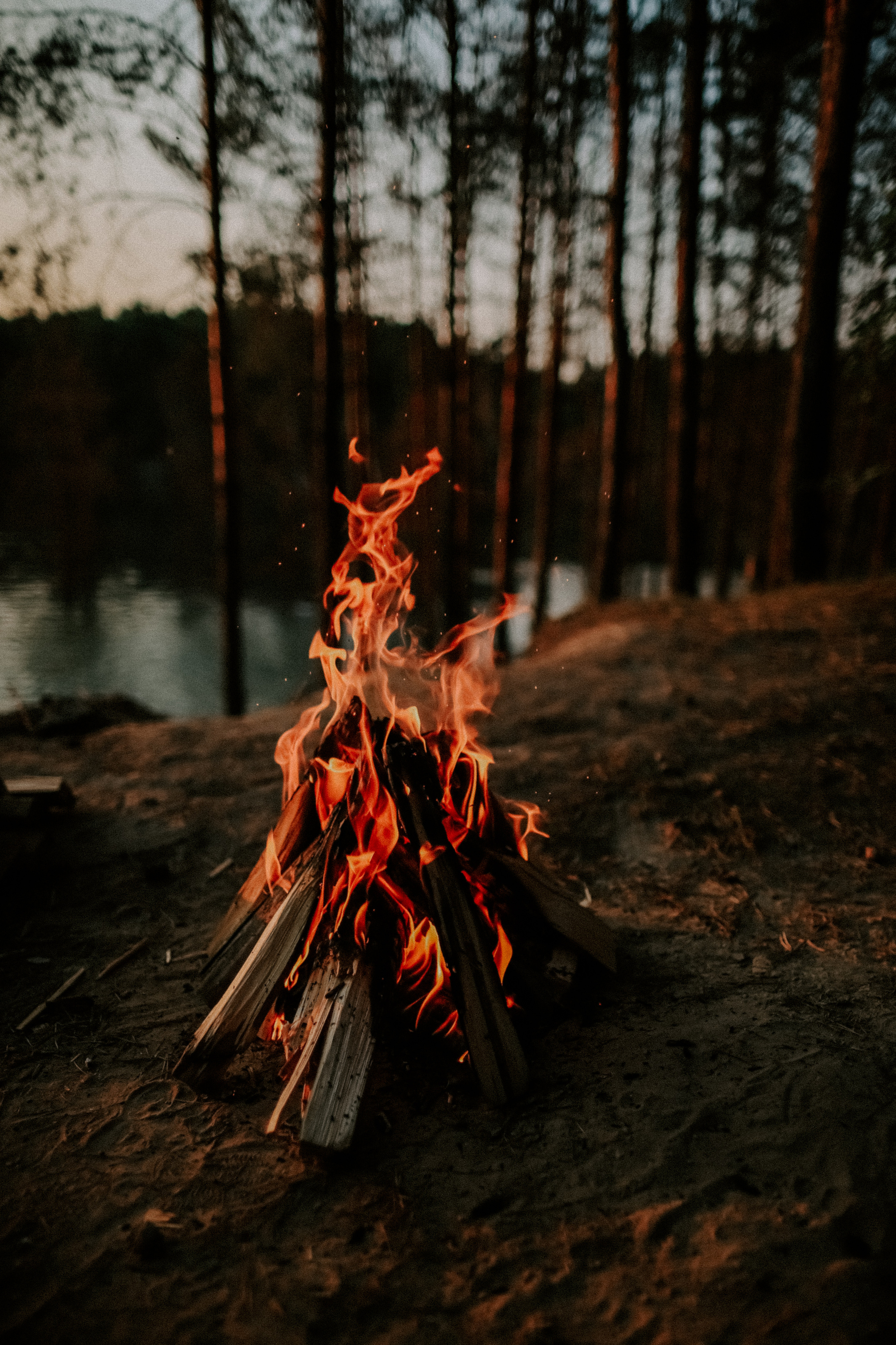 Лавстори Владимир и Евгения. Фотограф Карпачан Анастасия