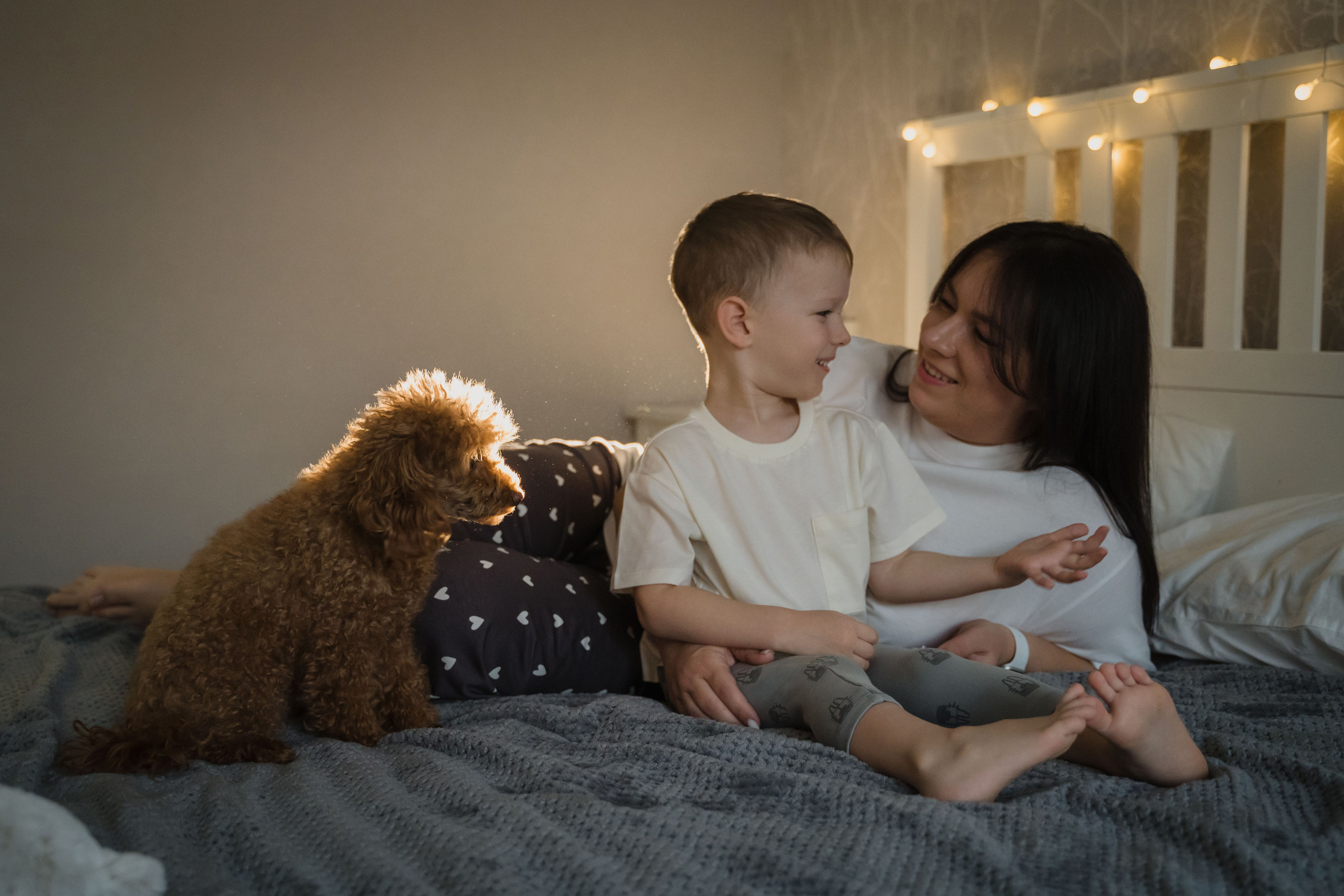 Предновогодний вечер. Главная