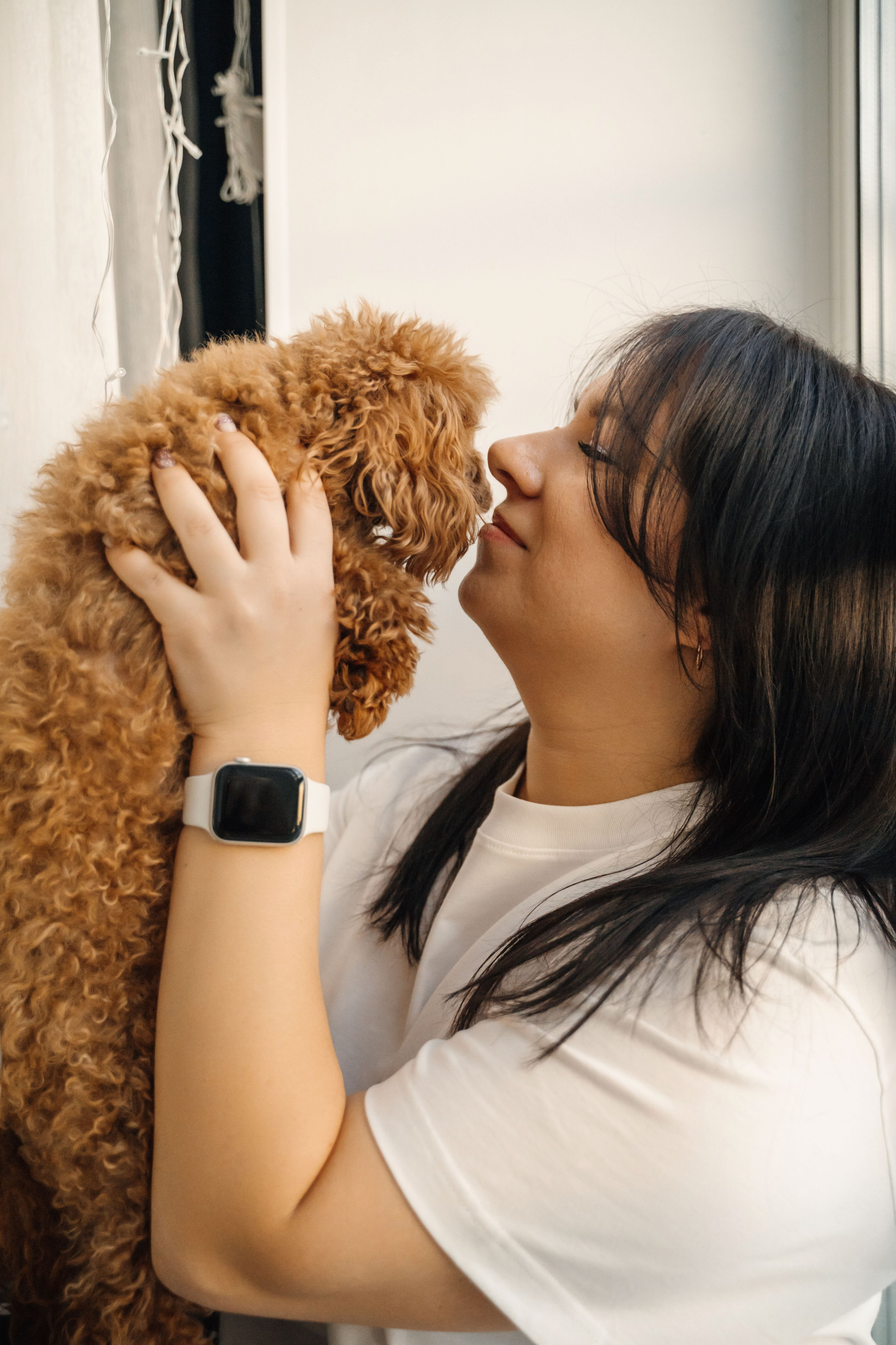 Предновогодний вечер. Главная