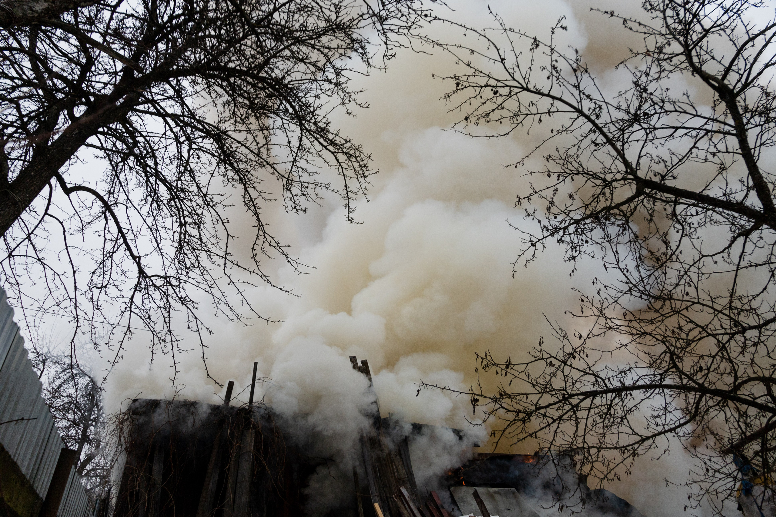 Часть. DASHA KALNINA