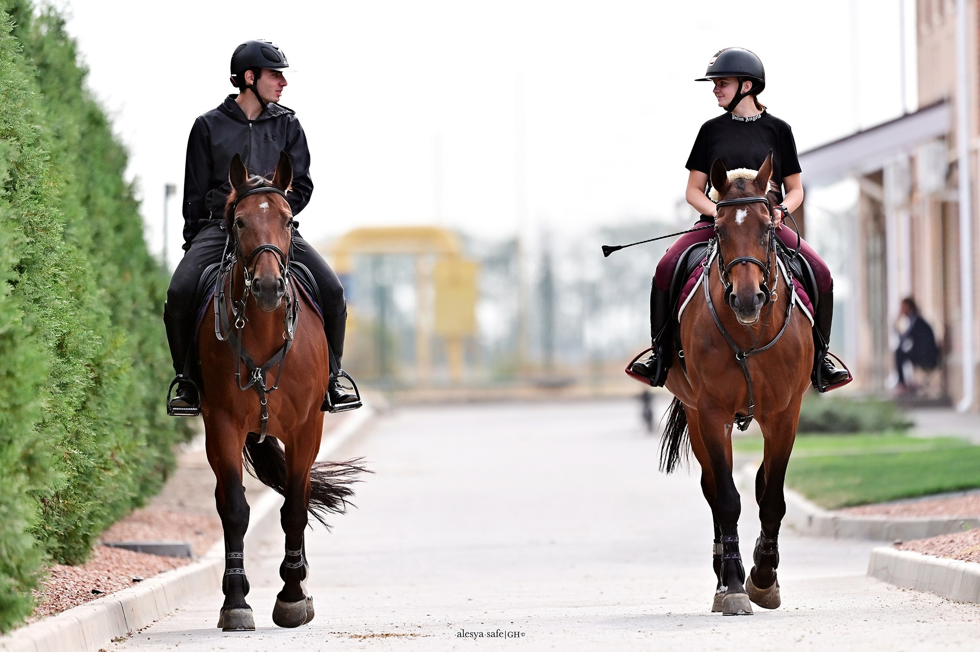 Голден. Конный фотограф Alesya Safe
