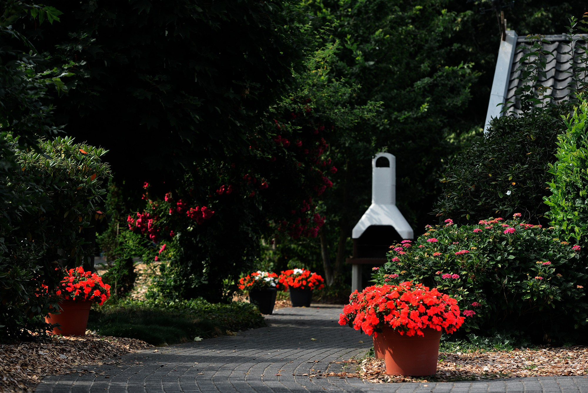 ЕС. Конный фотограф Alesya Safe