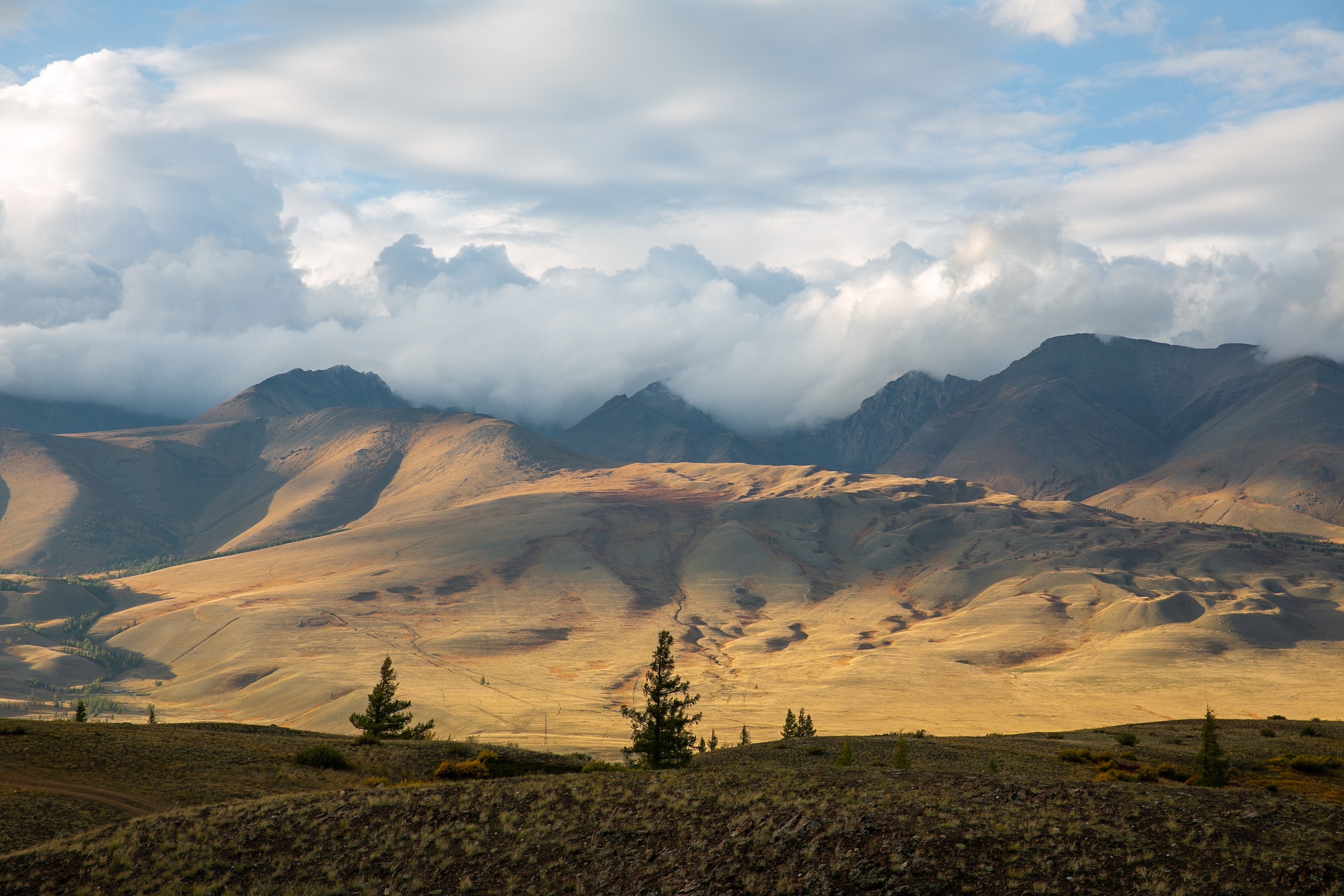 Алтай. Репортажный фотограф в Москве Зуйко Оксана